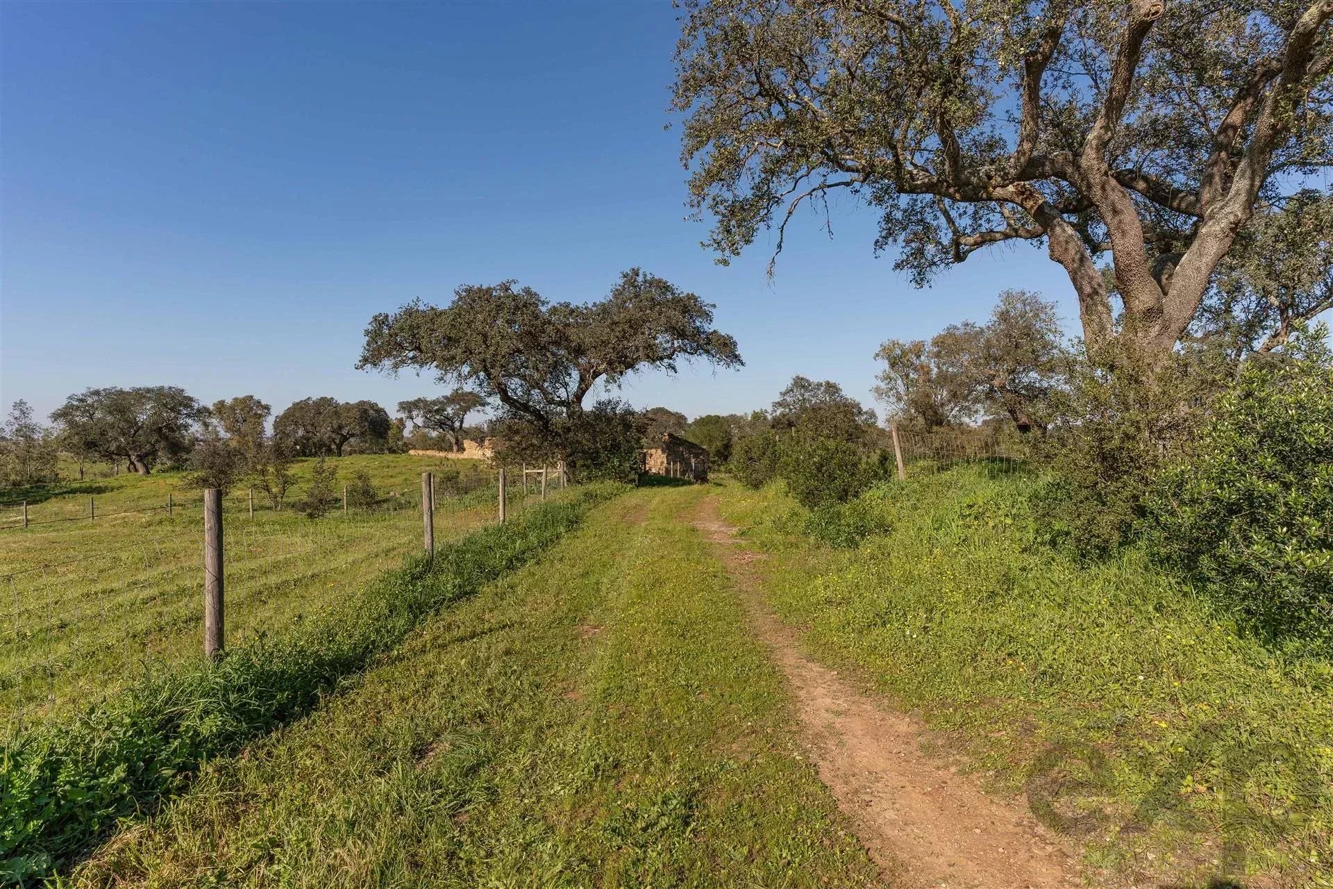 Private property, Equine Centre 86637172 image 55