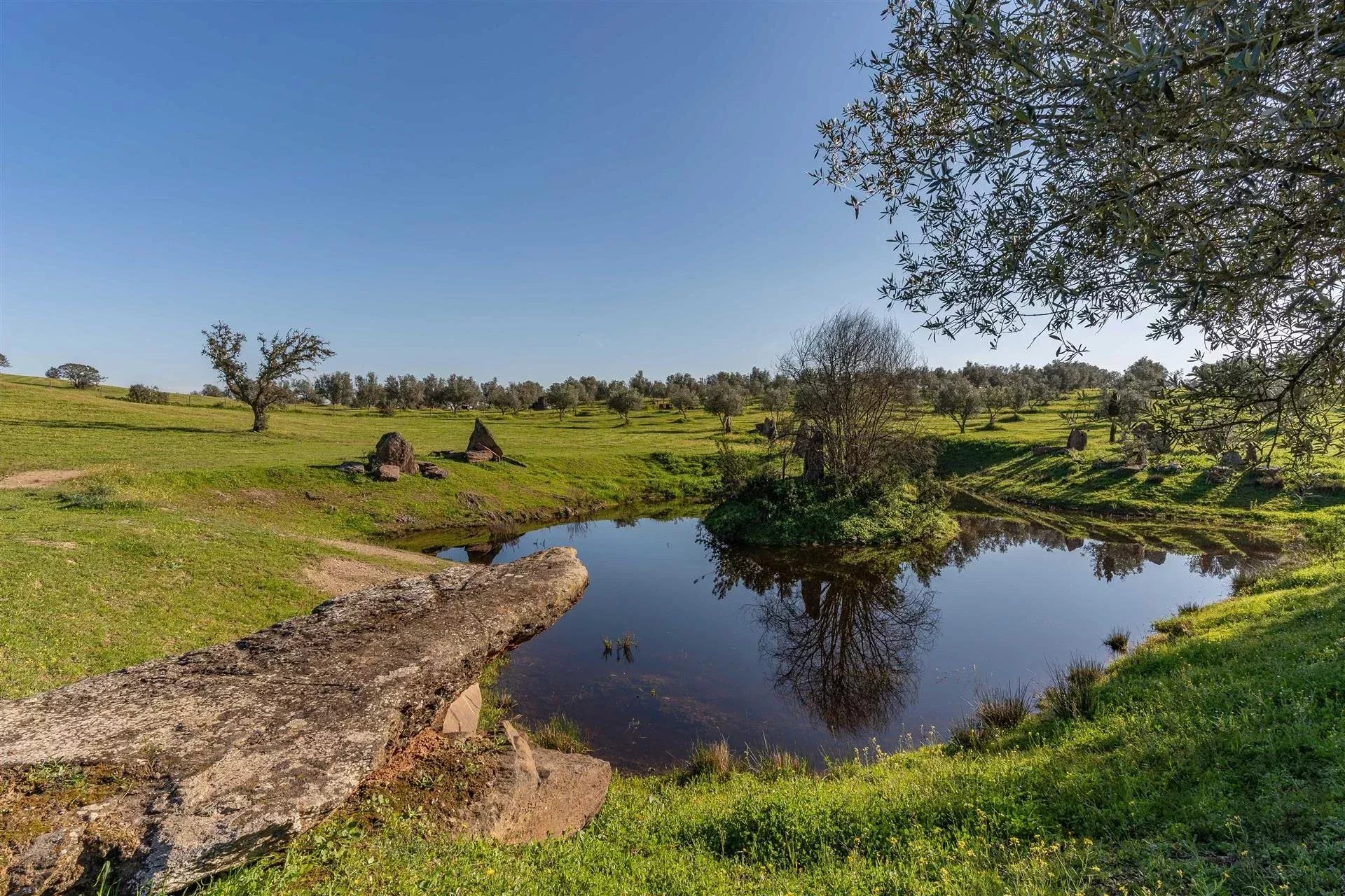 Private property, Equine Centre 86637172 image 52
