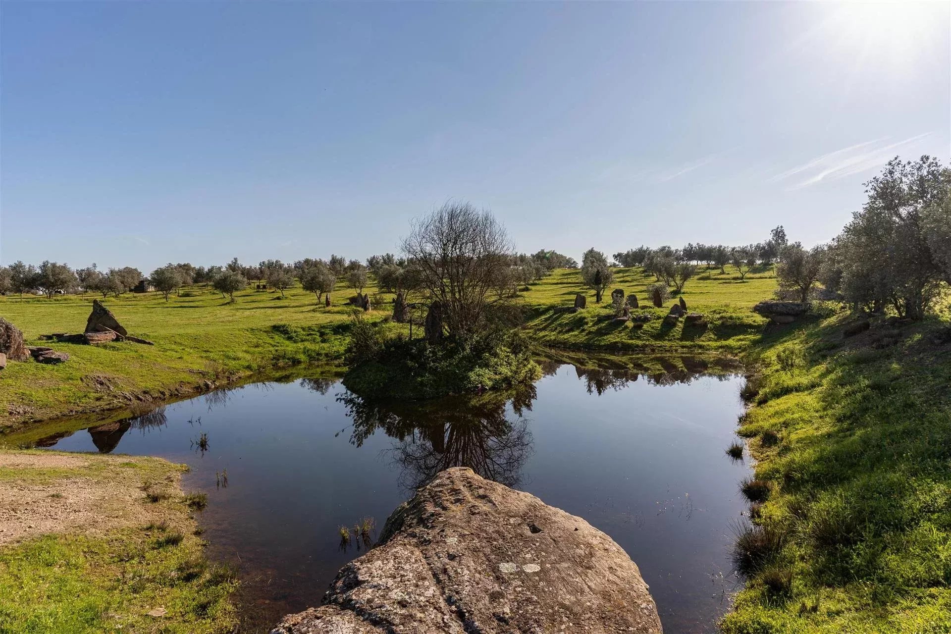 Private property, Equine Centre 86640416 image 11