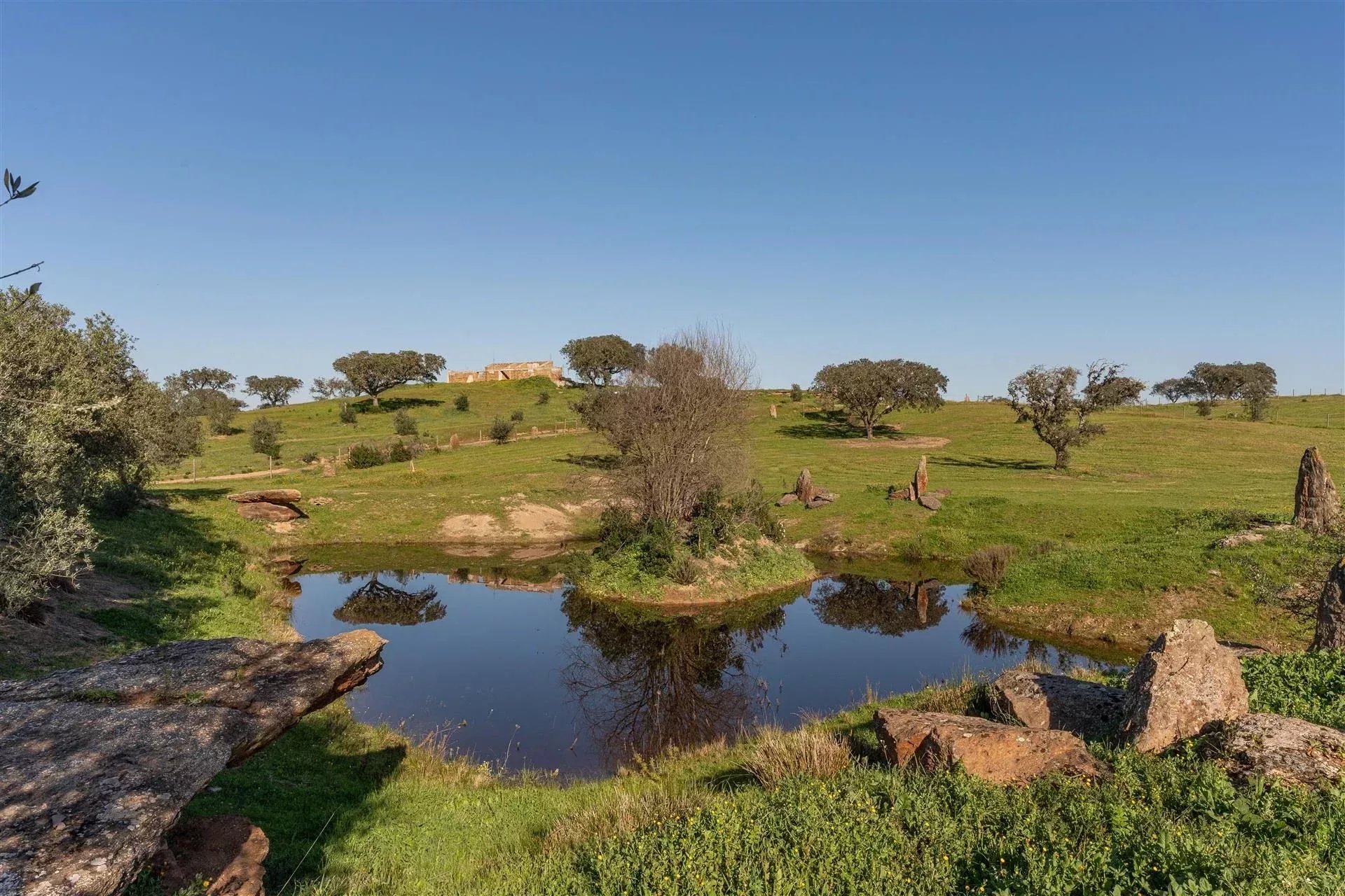 Private property, Equine Centre 86640416 image 12