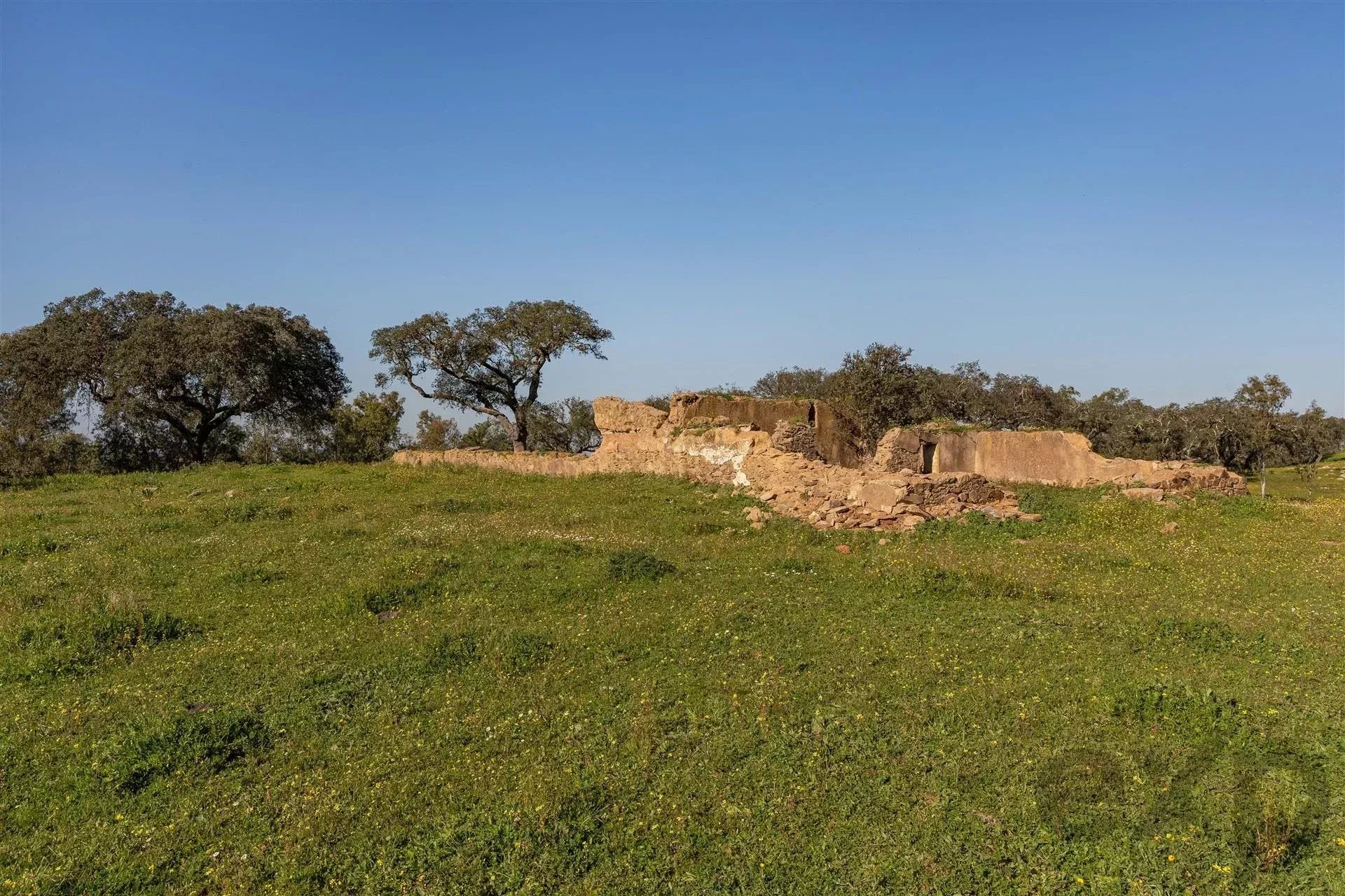 Private property, Equine Centre 86640416 image 18