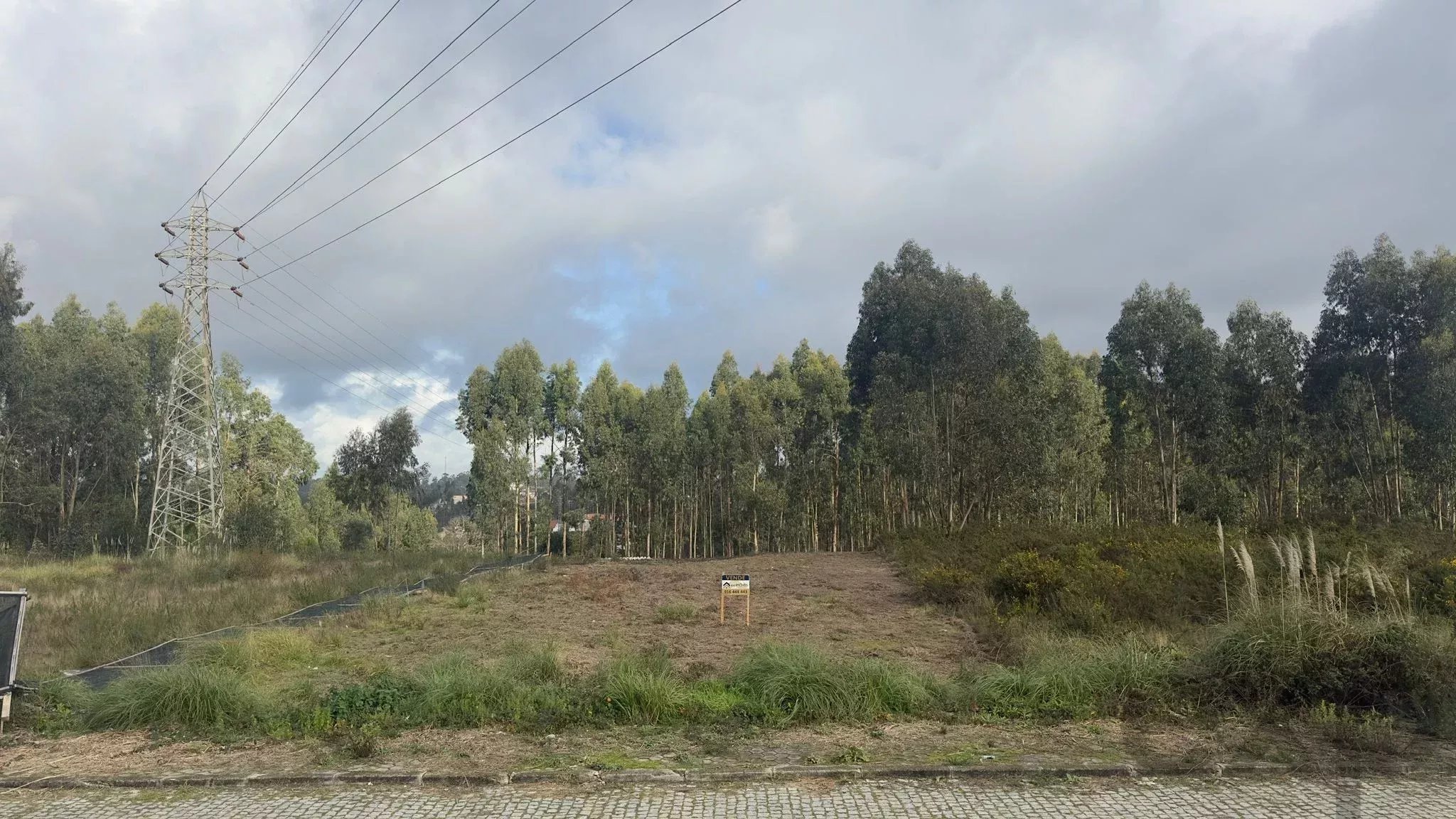 Lote industrial em Sanguedo, Santa Maria da Feira