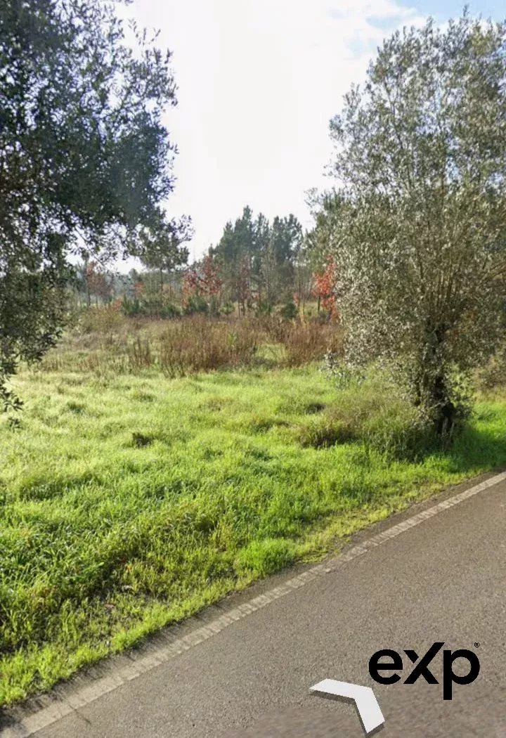 Terreno à venda em São Lourenço do Bairro, 1653 m²