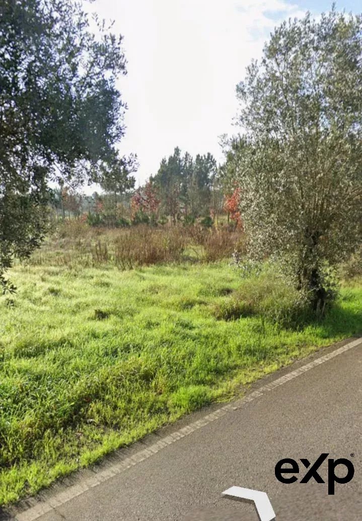 Terreno à venda em São Lourenço do Bairro, 1653 m²