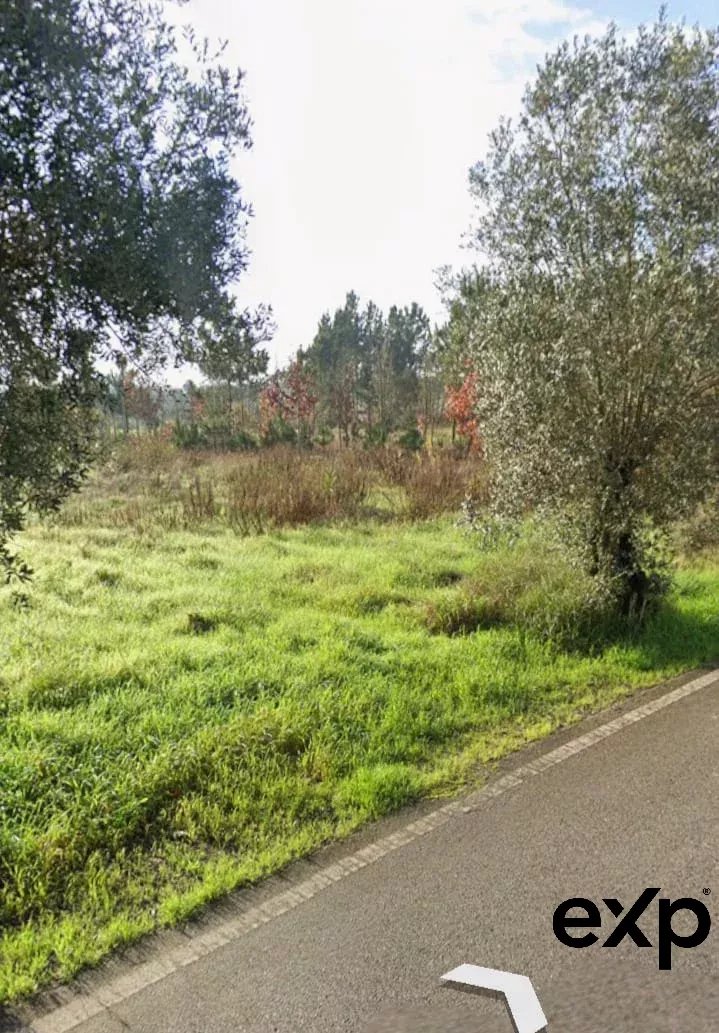 Terreno à venda em São Lourenço do Bairro, 1653 m²