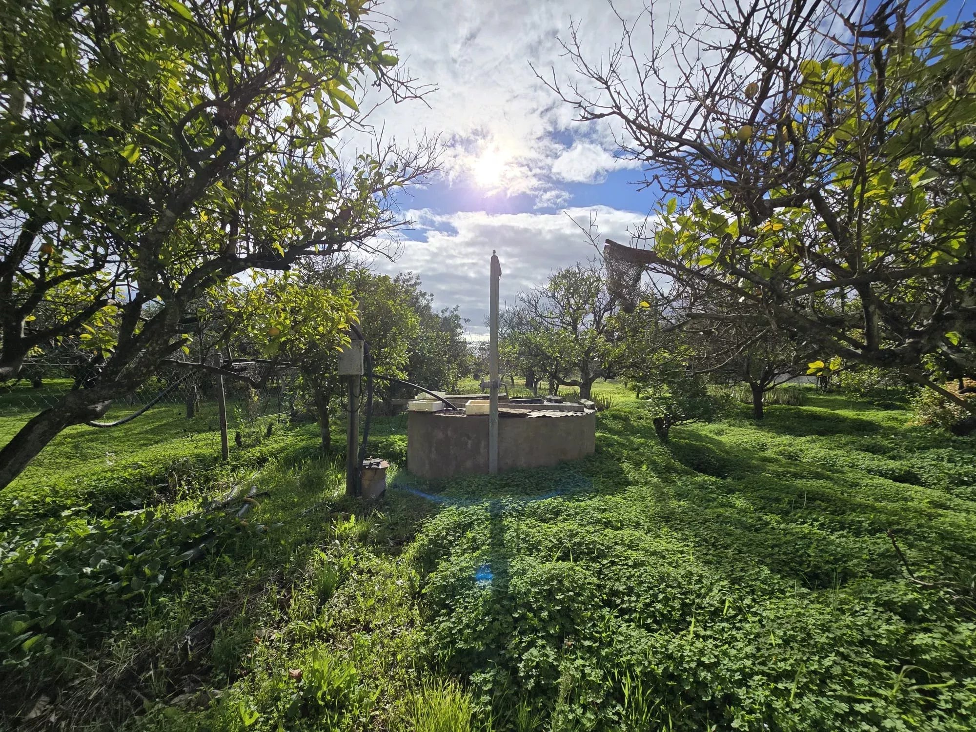 Estate of 7,272 m² and Ground‑Floor Residence a Few Minutes from Tavira | Algarve 86660178 image 11