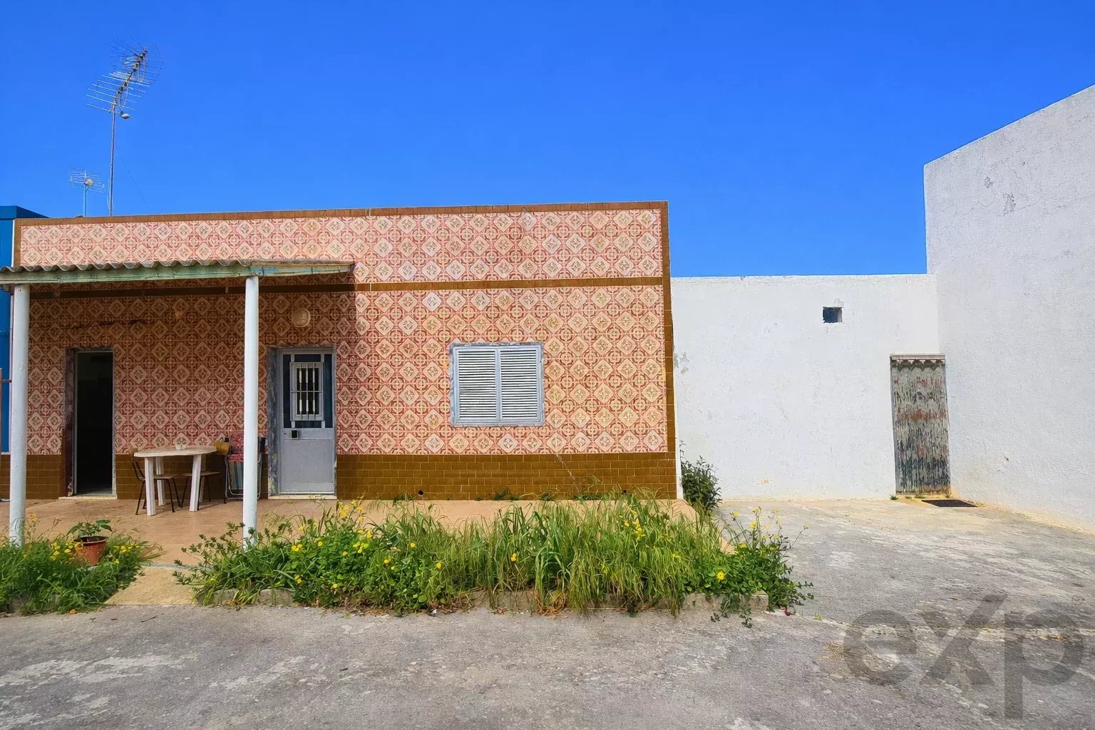 Quinta com 7.272 m² e Moradia Térrea a Poucos Minutos de Tavira | Algarve
