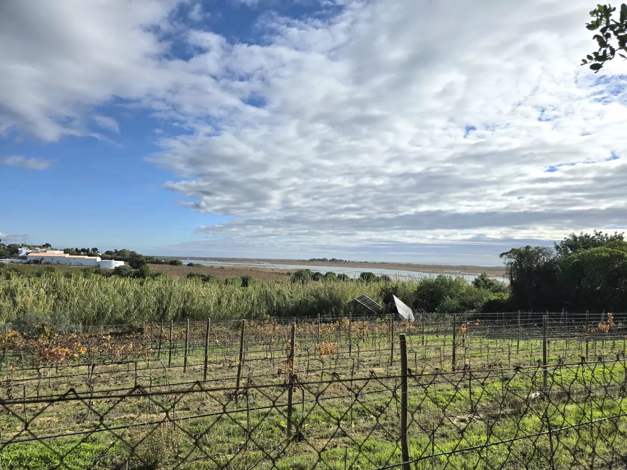 Estate of 7,272 m² and Ground‑Floor Residence a Few Minutes from Tavira | Algarve 86660178 image 12