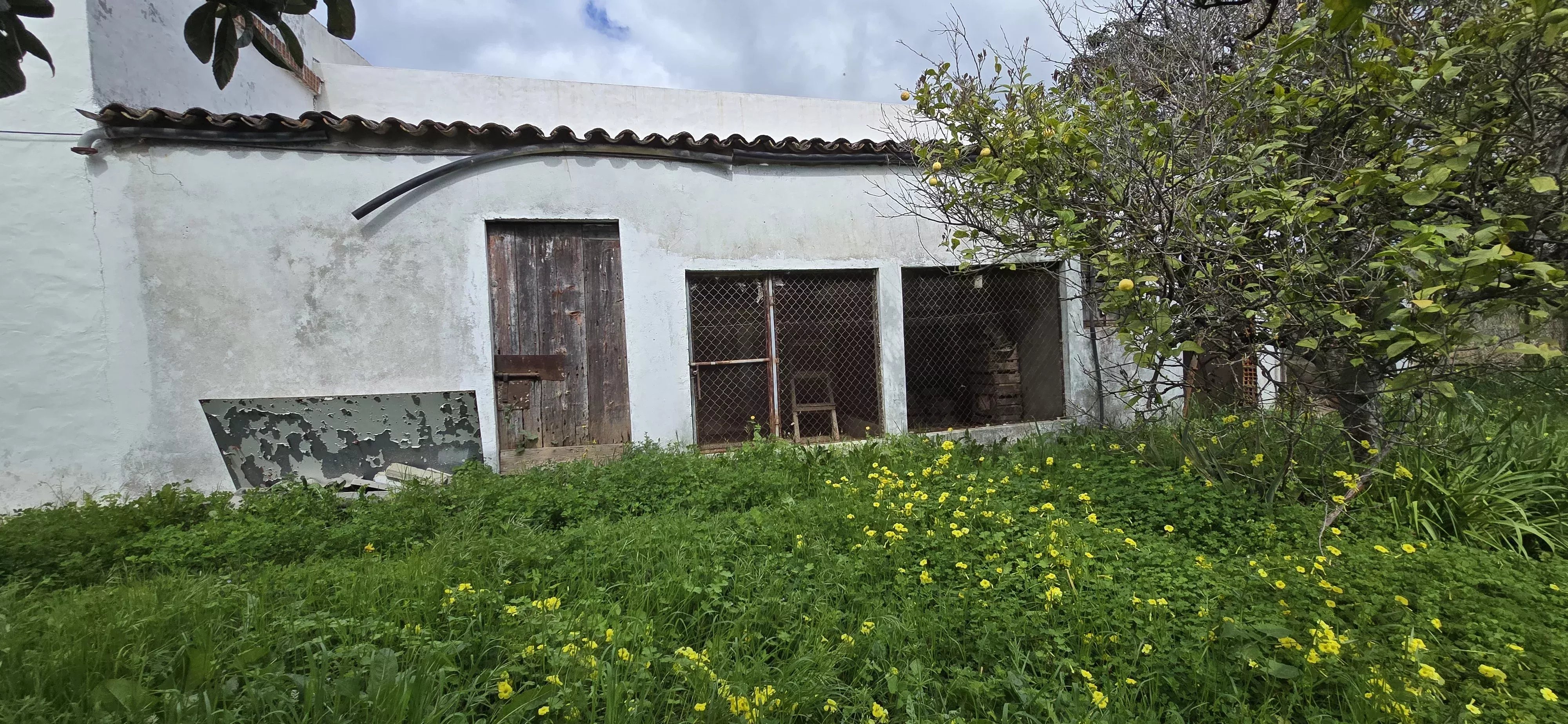 Estate of 7,272 m² and Ground‑Floor Residence a Few Minutes from Tavira | Algarve 86660178 image 18
