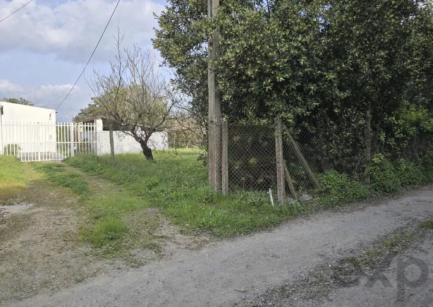 Estate of 7,272 m² and Ground‑Floor Residence a Few Minutes from Tavira | Algarve 86660178 image 19
