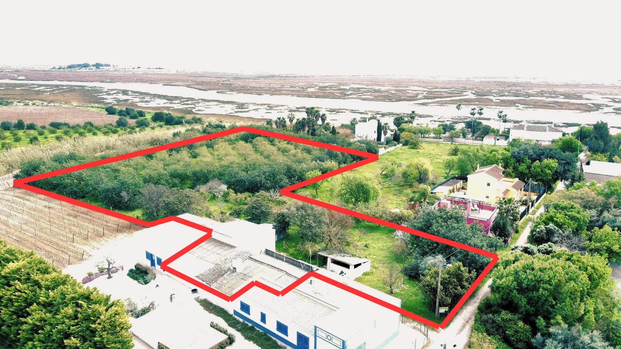 Estate of 7,272 m² and Ground‑Floor Residence a Few Minutes from Tavira | Algarve 86660178 image 20