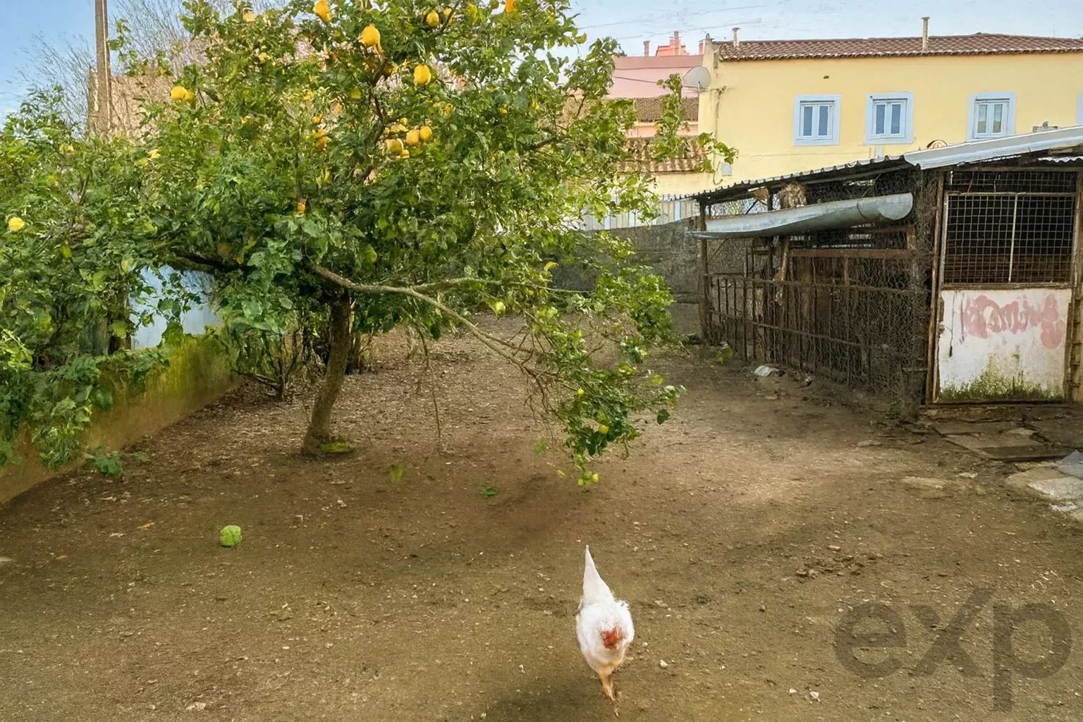 Cacém, Exclusive Historical Residence for Renovation, Agualva‑Cacém, Portugal 86678130 image 17