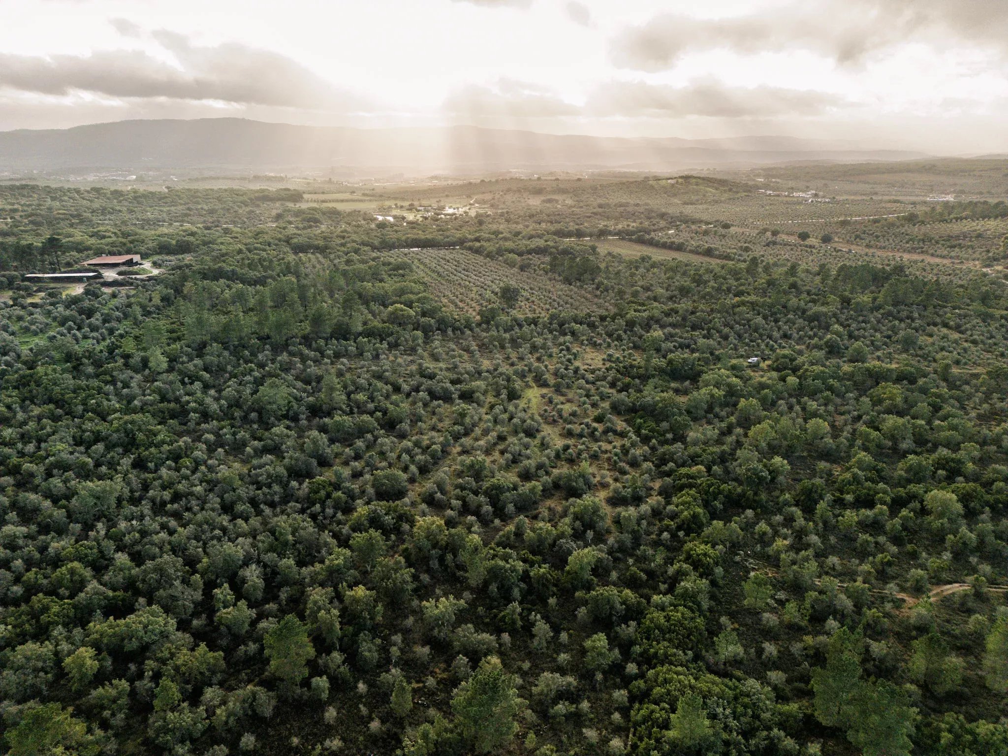 5.54 hectares of land for tourist development with approved PIP (200 beds), Borba, Alentejo 86733276 image 2