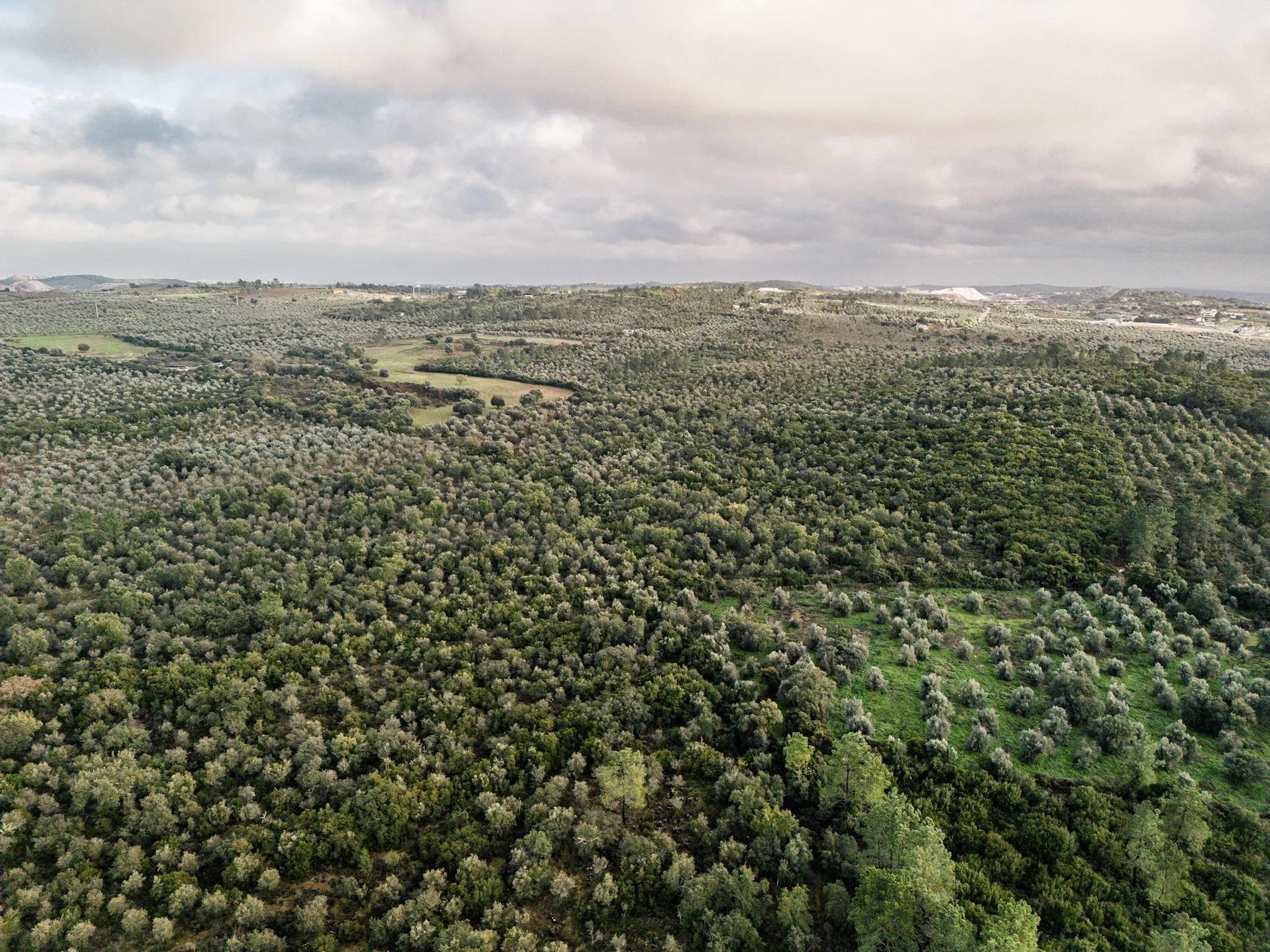 5.54 hectares of land for tourist development with approved PIP (200 beds), Borba, Alentejo 86733276 image 10
