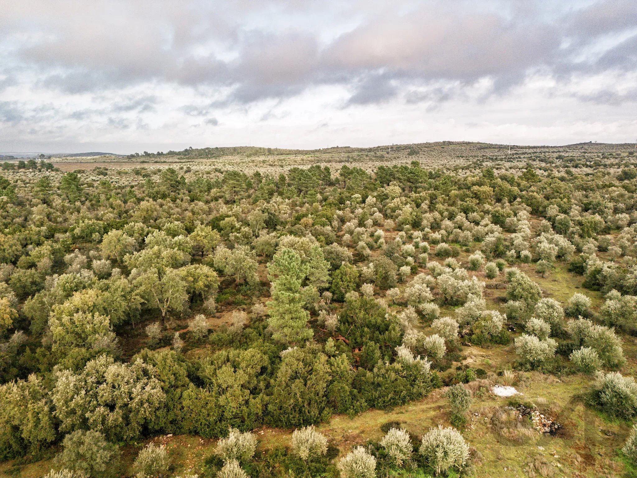 5.54 hectares of land for tourist development with approved PIP (200 beds), Borba, Alentejo 86733276 image 8