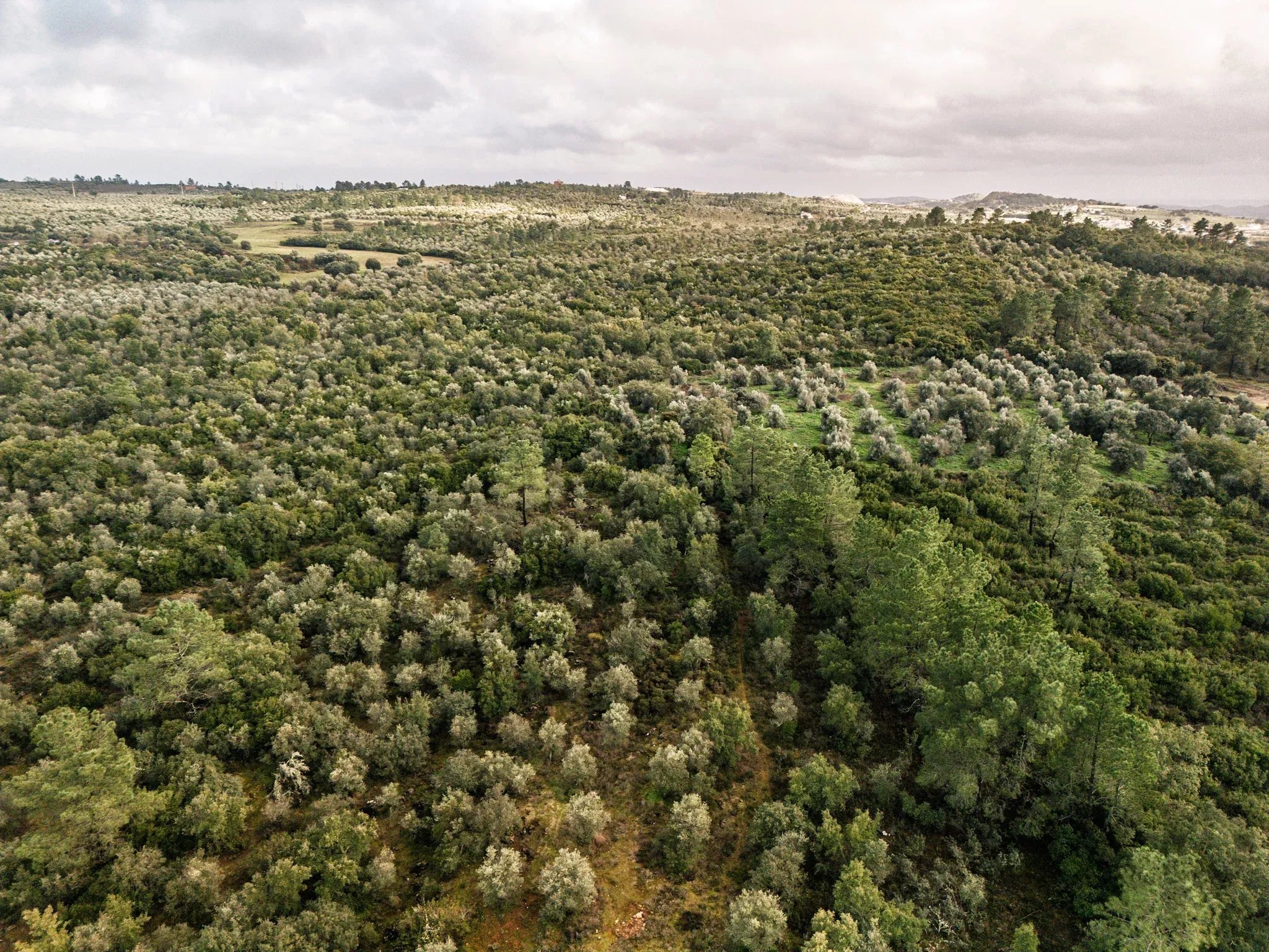 5.54 hectares of land for tourist development with approved PIP (200 beds), Borba, Alentejo 86733276 image 6