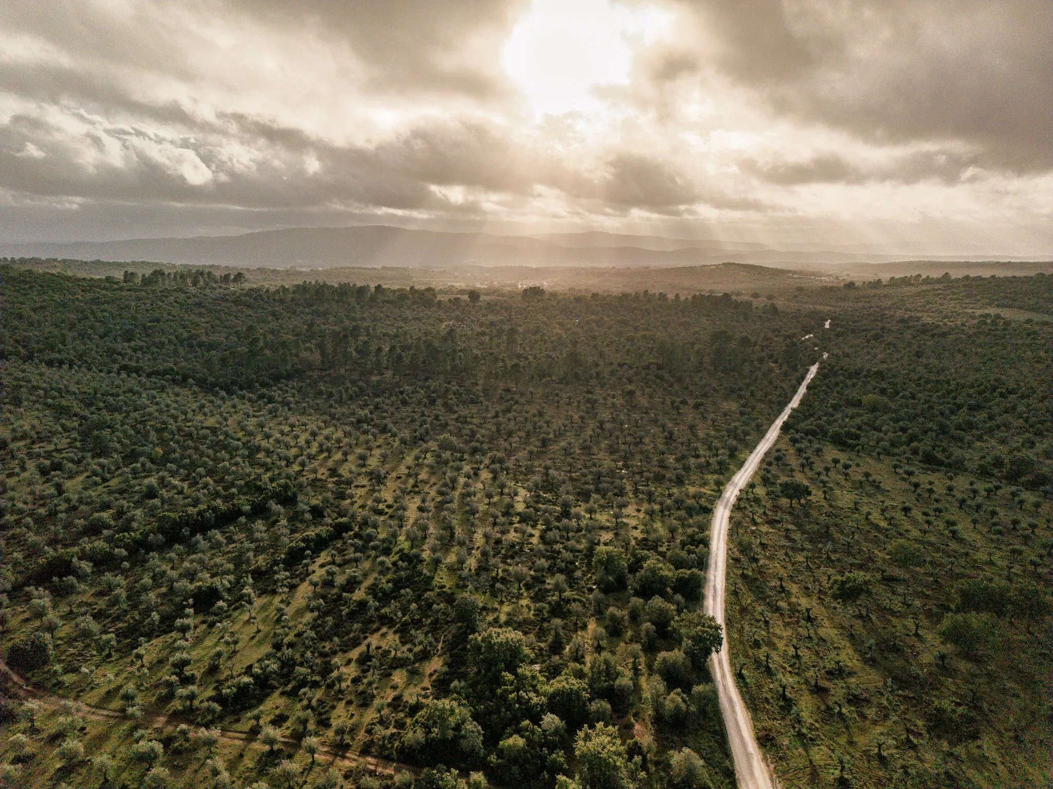 5.54 hectares of land for tourist development with approved PIP (200 beds), Borba, Alentejo 86733276 image 3