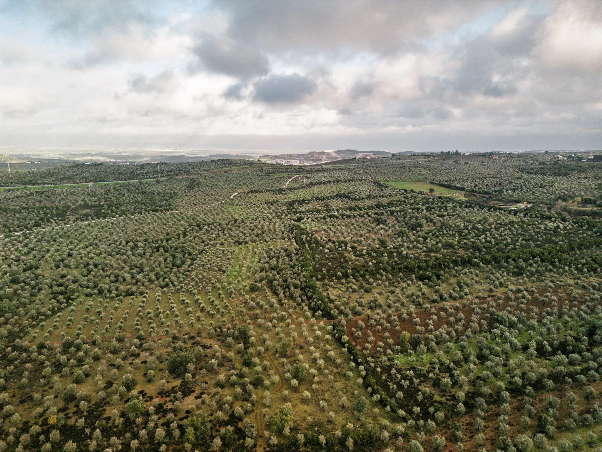5.54 hectares of land for tourist development with approved PIP (200 beds), Borba, Alentejo 86733276 image 7