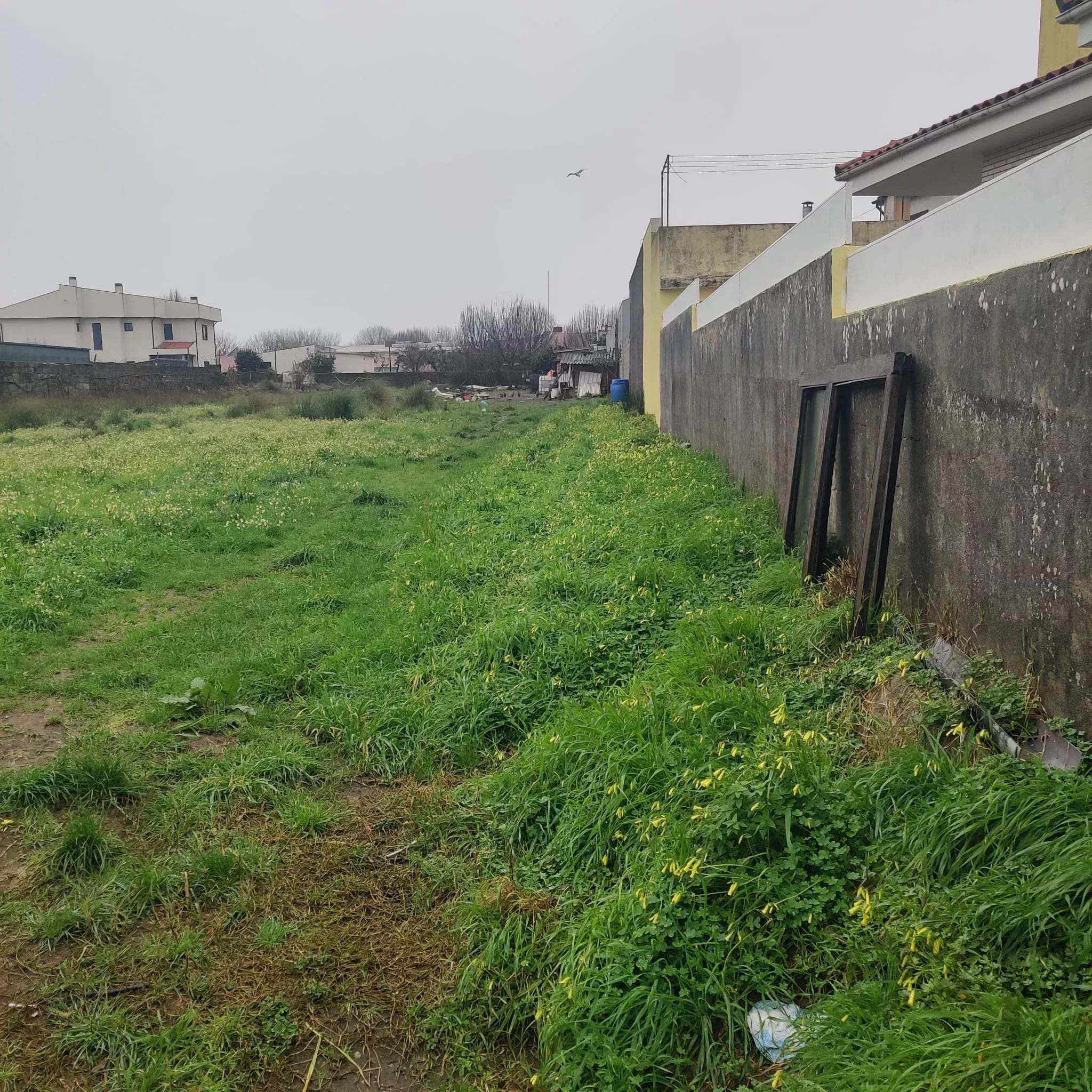 Terreno em Perafita