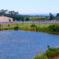 Excecional Herdade Equestre - Odemira, Sudoeste Alentejano
