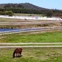 Excecional Herdade Equestre - Odemira, Sudoeste Alentejano 86739800 image 26