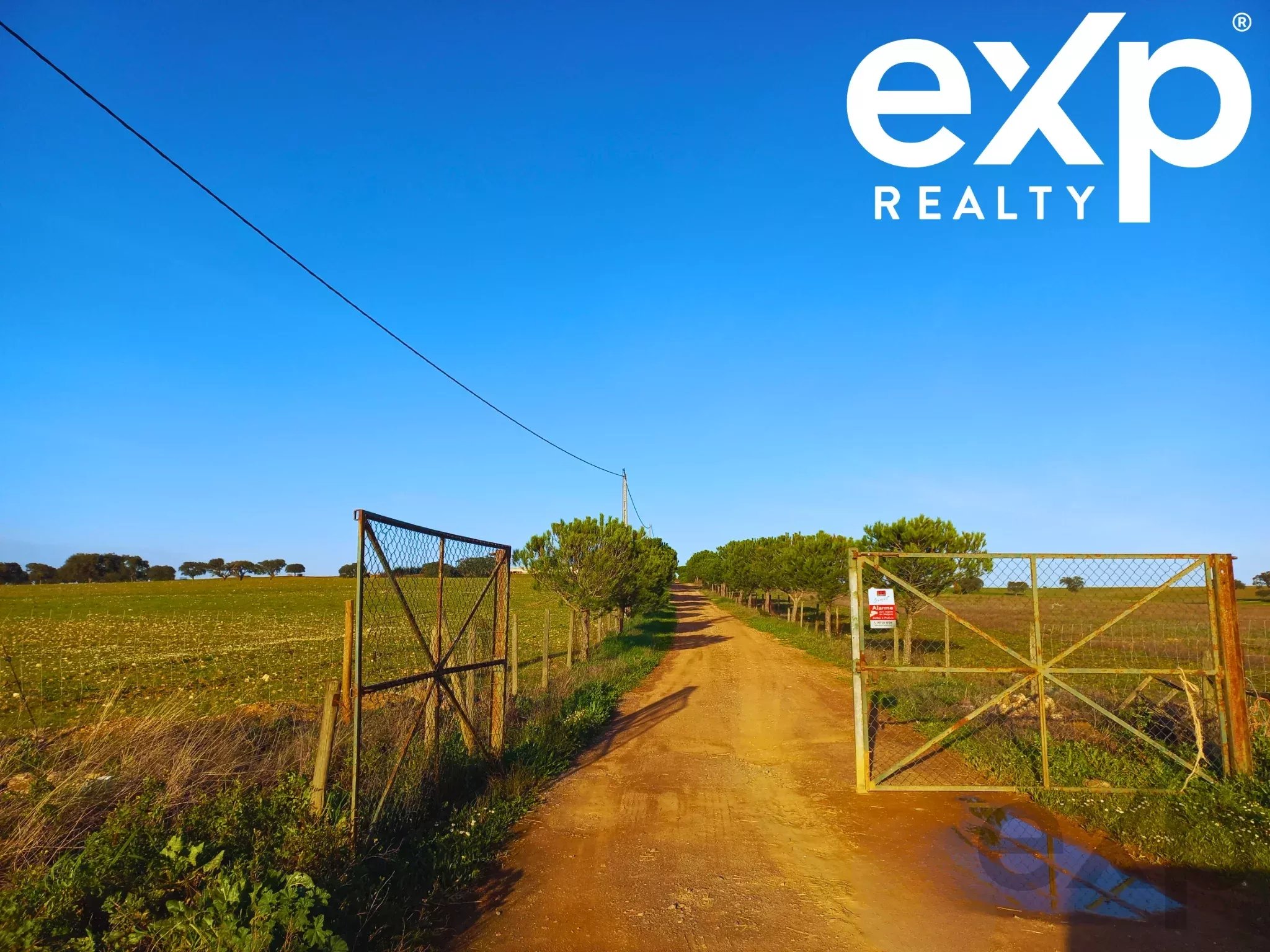 Cattle Farm, Lower Alentejo (Insurance for investors, funds and ICNF) 86742404 image 6