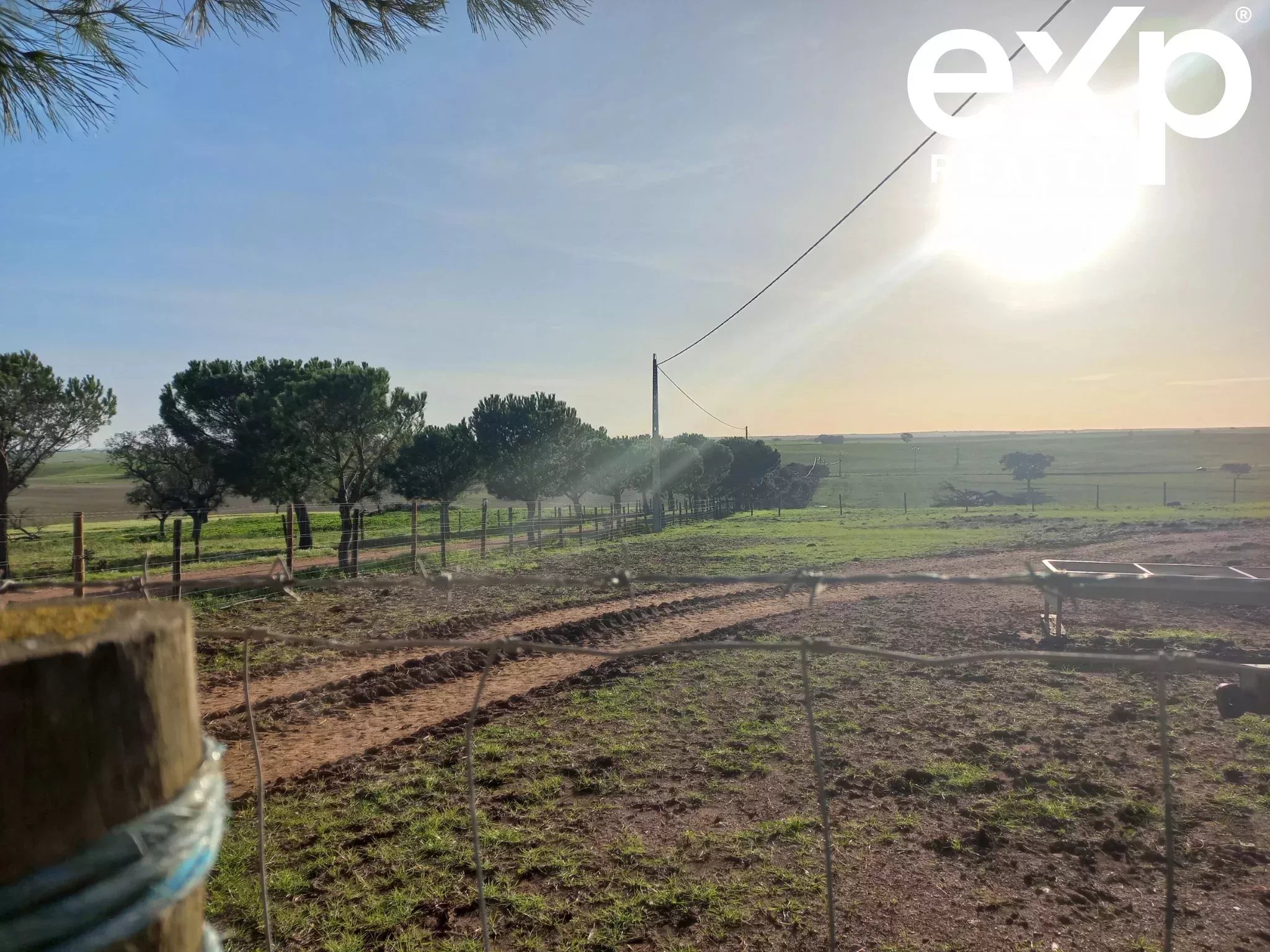 Cattle Farm, Lower Alentejo (Insurance for investors, funds and ICNF) 86742404 image 14