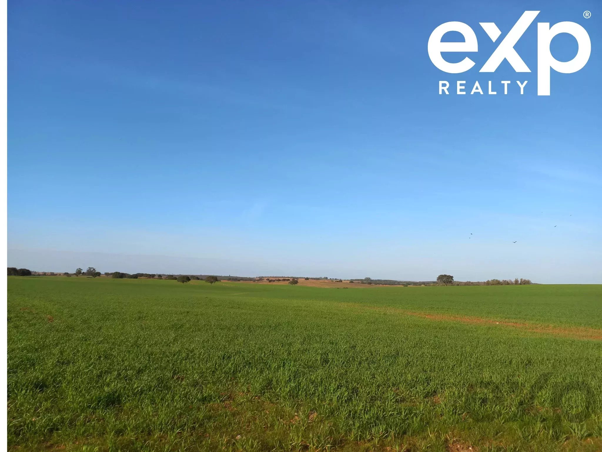 Cattle Farm, Lower Alentejo (Insurance for investors, funds and ICNF) 86742404 image 23