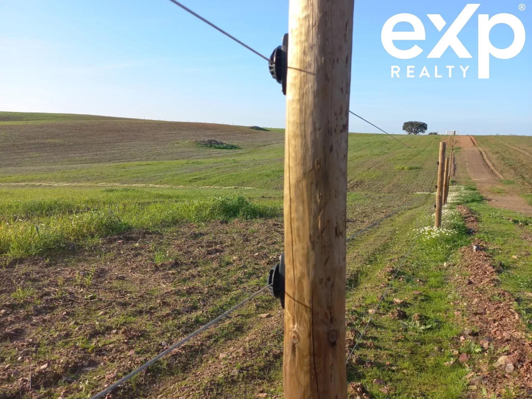 Cattle Farm, Lower Alentejo (Insurance for investors, funds and ICNF) 86742404 image 11