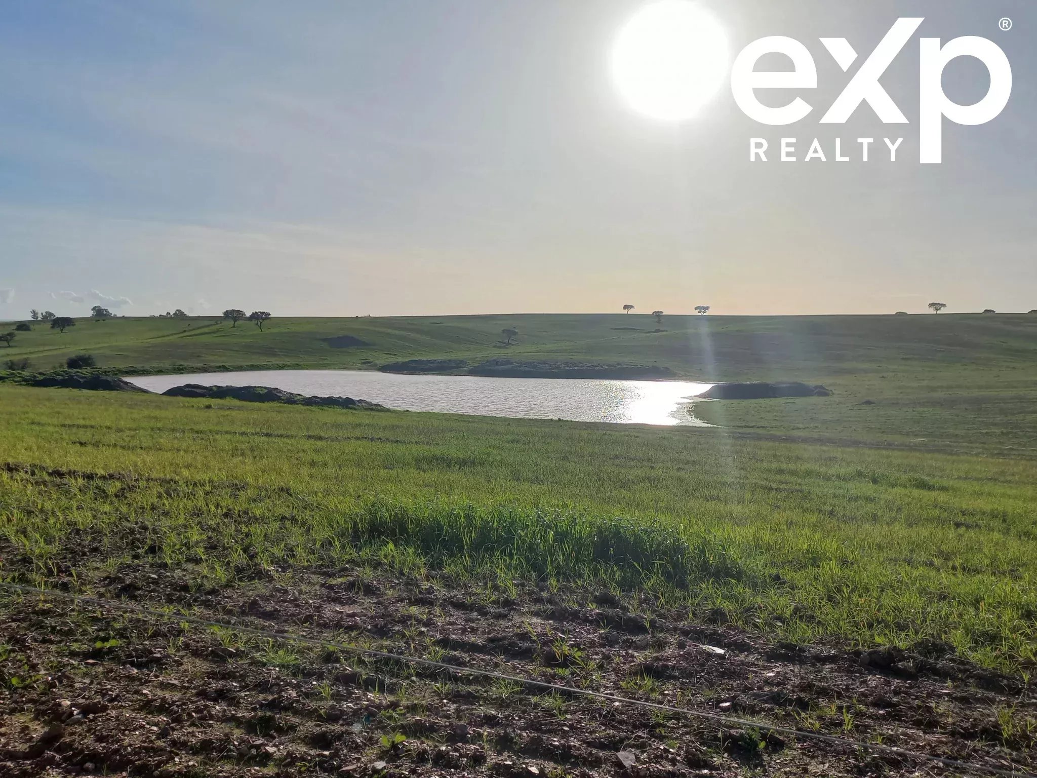 Cattle Farm, Lower Alentejo (Insurance for investors, funds and ICNF) 86742404 image 15