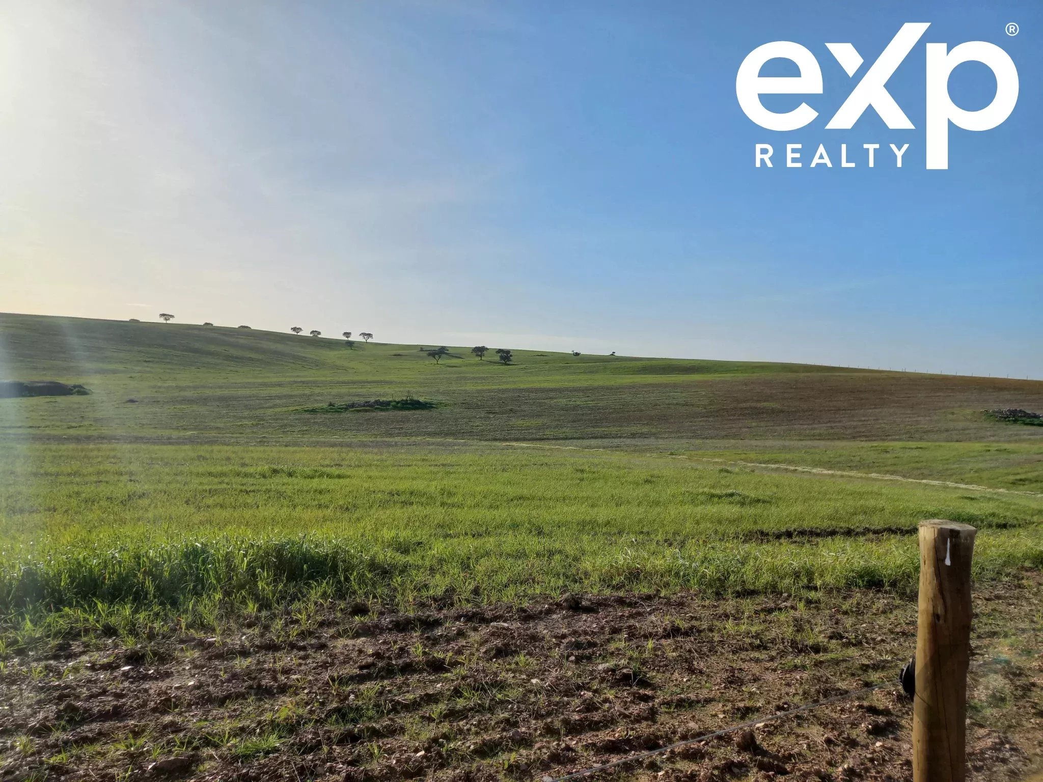 Cattle Farm, Lower Alentejo (Insurance for investors, funds and ICNF) 86742404 image 13