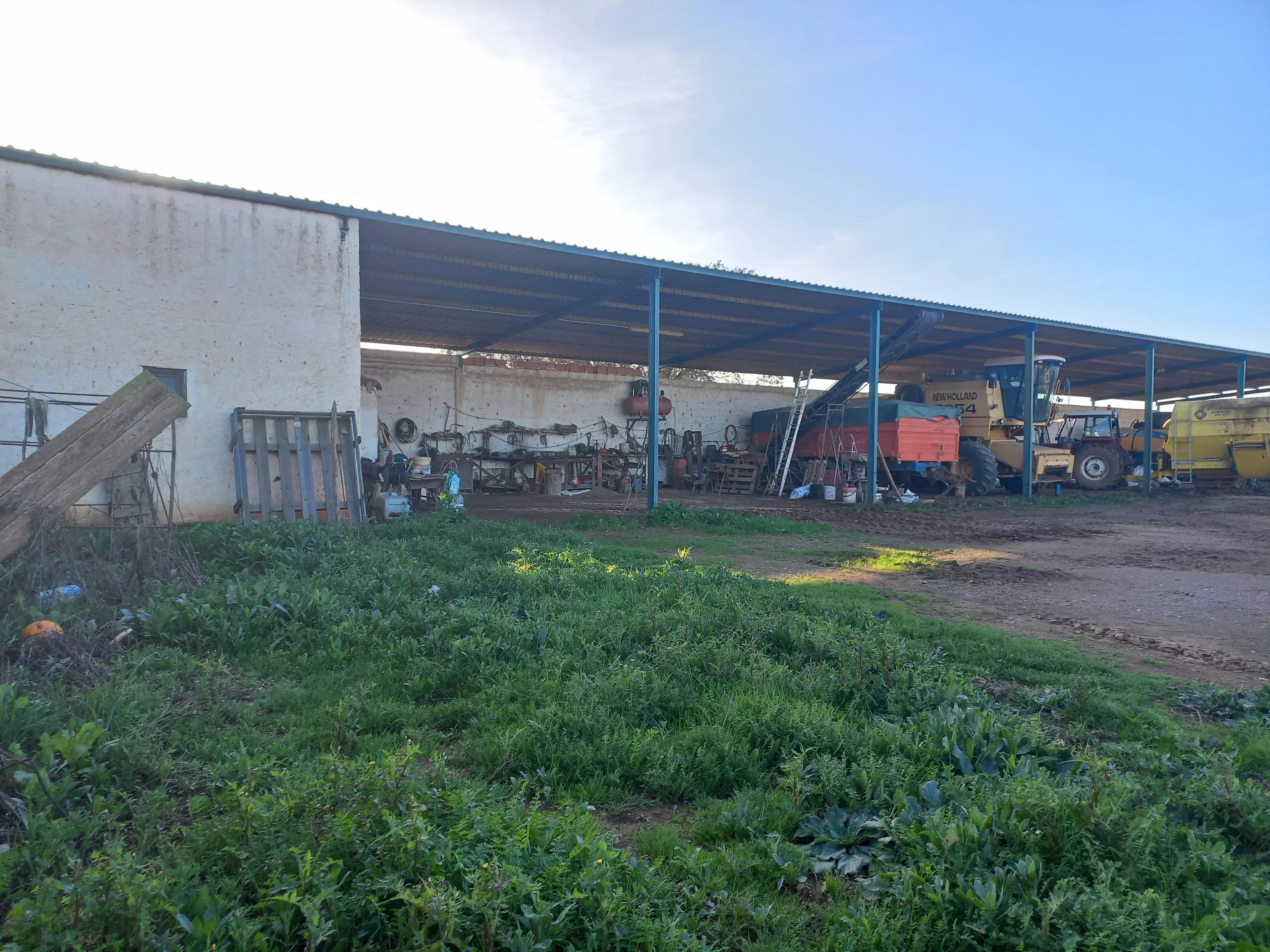 Cattle Farm, Lower Alentejo (Insurance for investors, funds and ICNF) 86742404 image 10