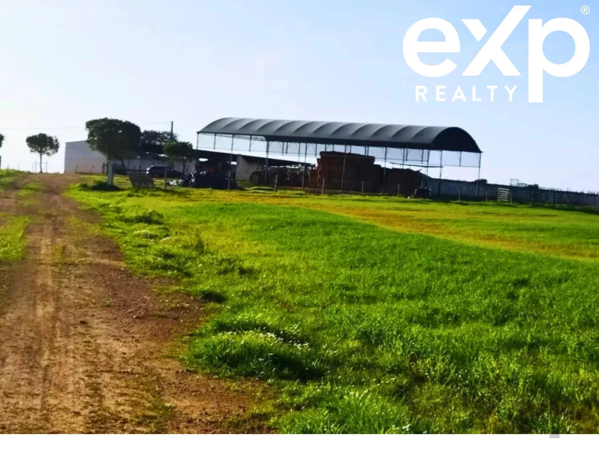 Cattle Farm, Lower Alentejo (Insurance for investors, funds and ICNF) 86742404 image 3
