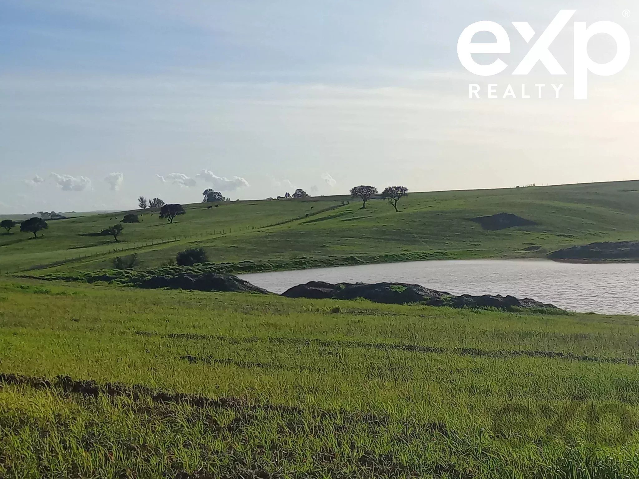 Cattle Farm, Lower Alentejo (Insurance for investors, funds and ICNF) 86742404 image 12