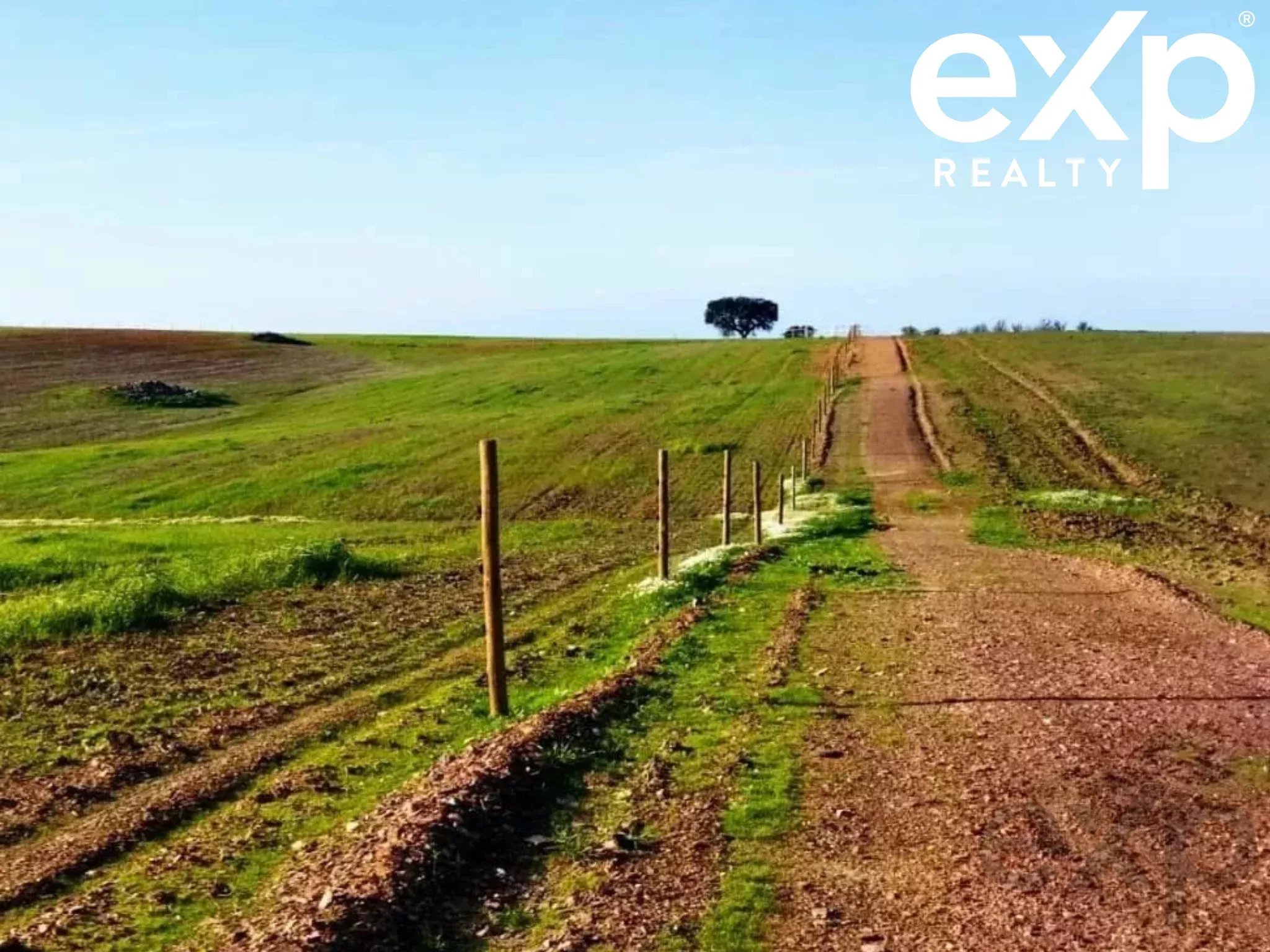 Cattle Farm, Lower Alentejo (Insurance for investors, funds and ICNF) 86742404 image 5