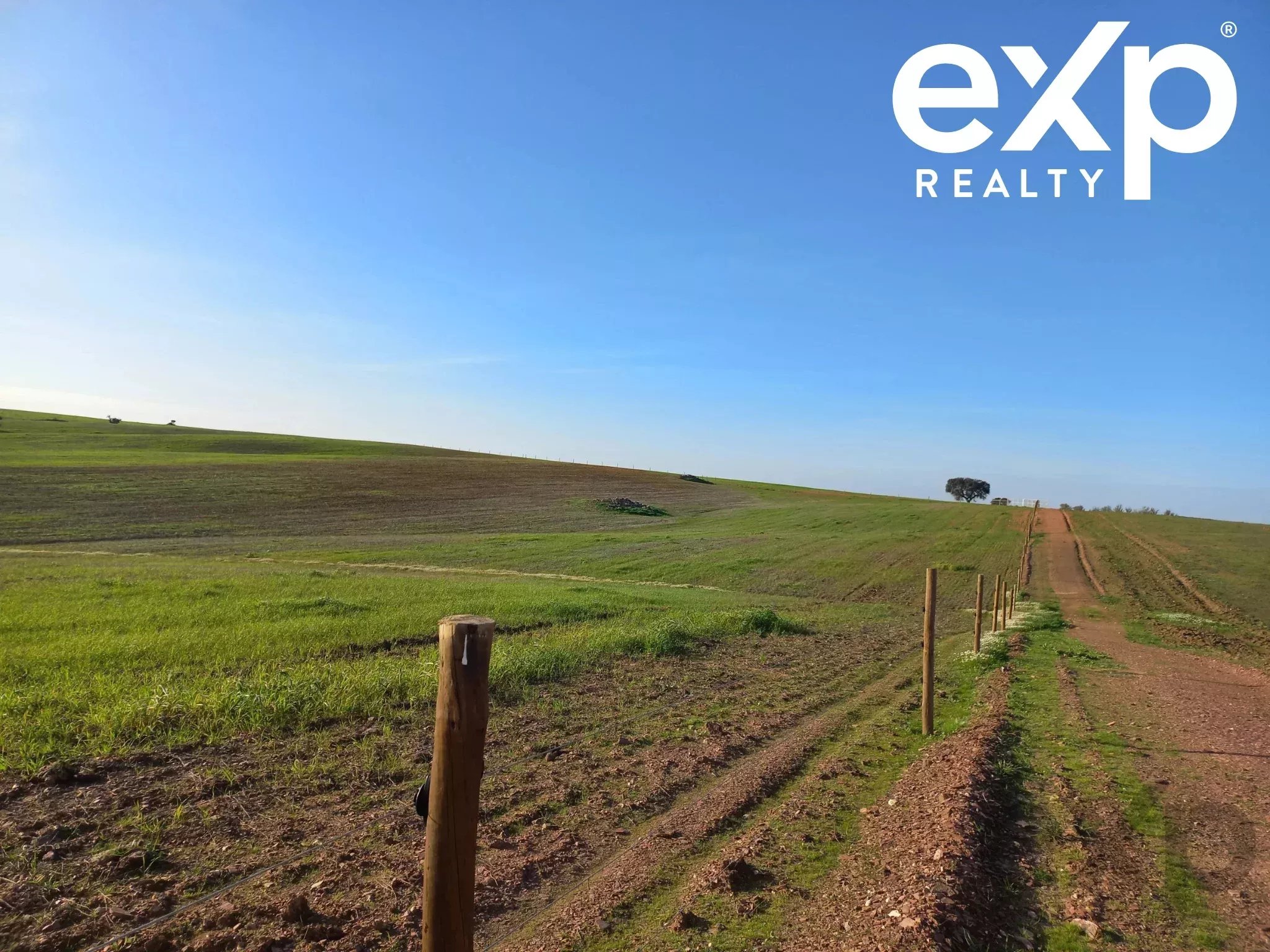 Cattle Farm, Lower Alentejo (Insurance for investors, funds and ICNF) 86742404 image 21