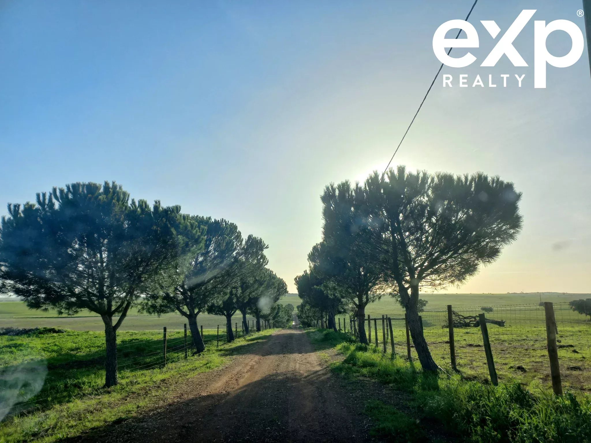 Cattle Farm, Lower Alentejo (Insurance for investors, funds and ICNF) 86742404 image 7