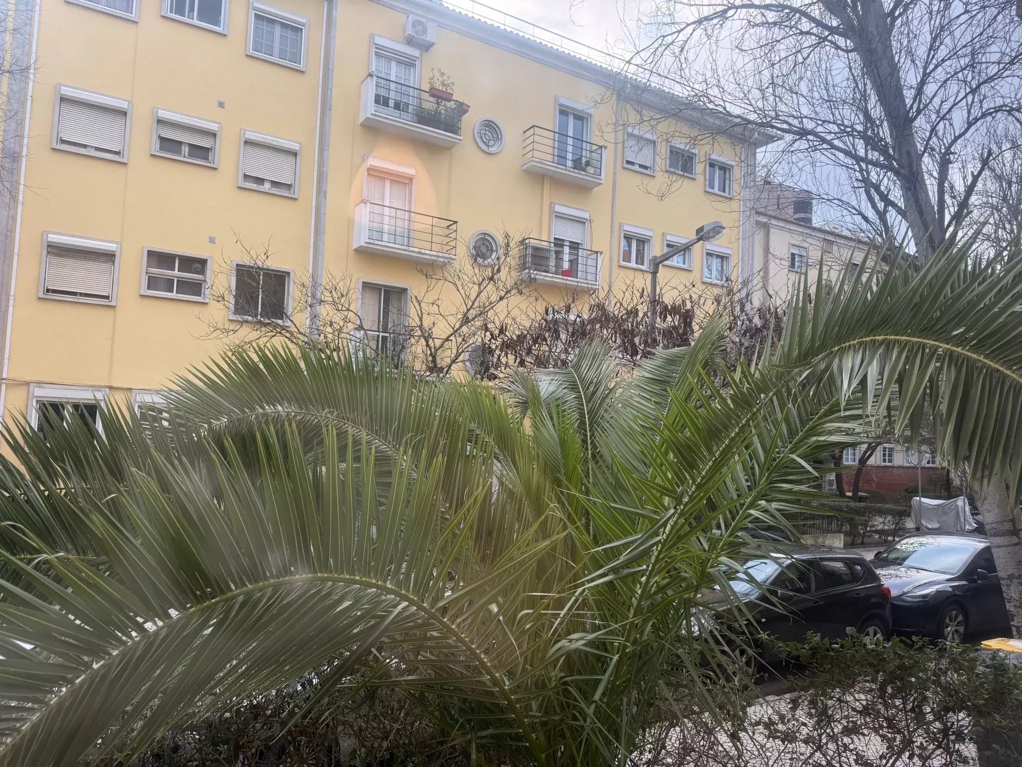 T4 Excellence in the Alvalade District – Premium Location and High Appreciation Potential 86752531 image 1