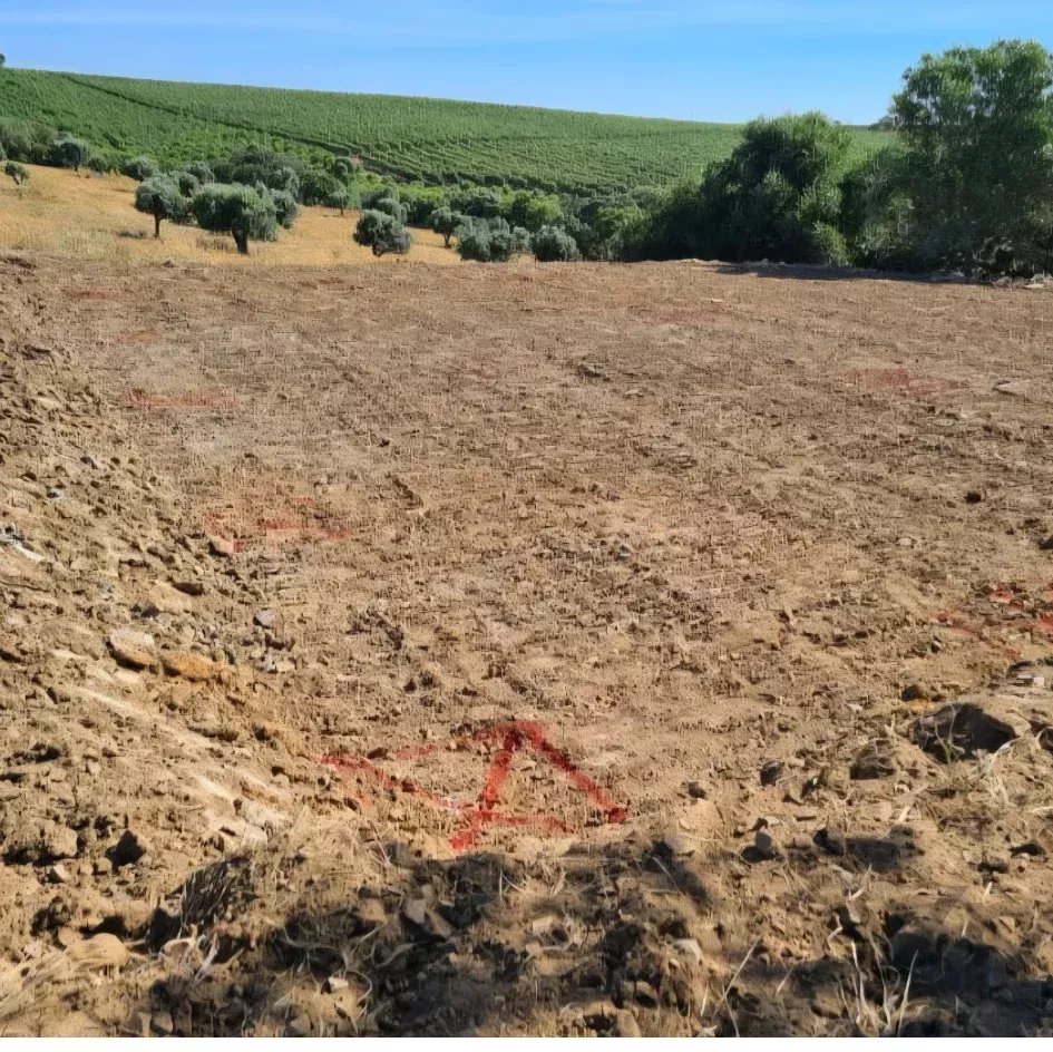 Terreno rustico Baixo Alentejo 4.1 hectares
