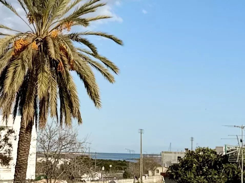 Moradia Geminada Mobiliada na Fuseta, Moncarapacho