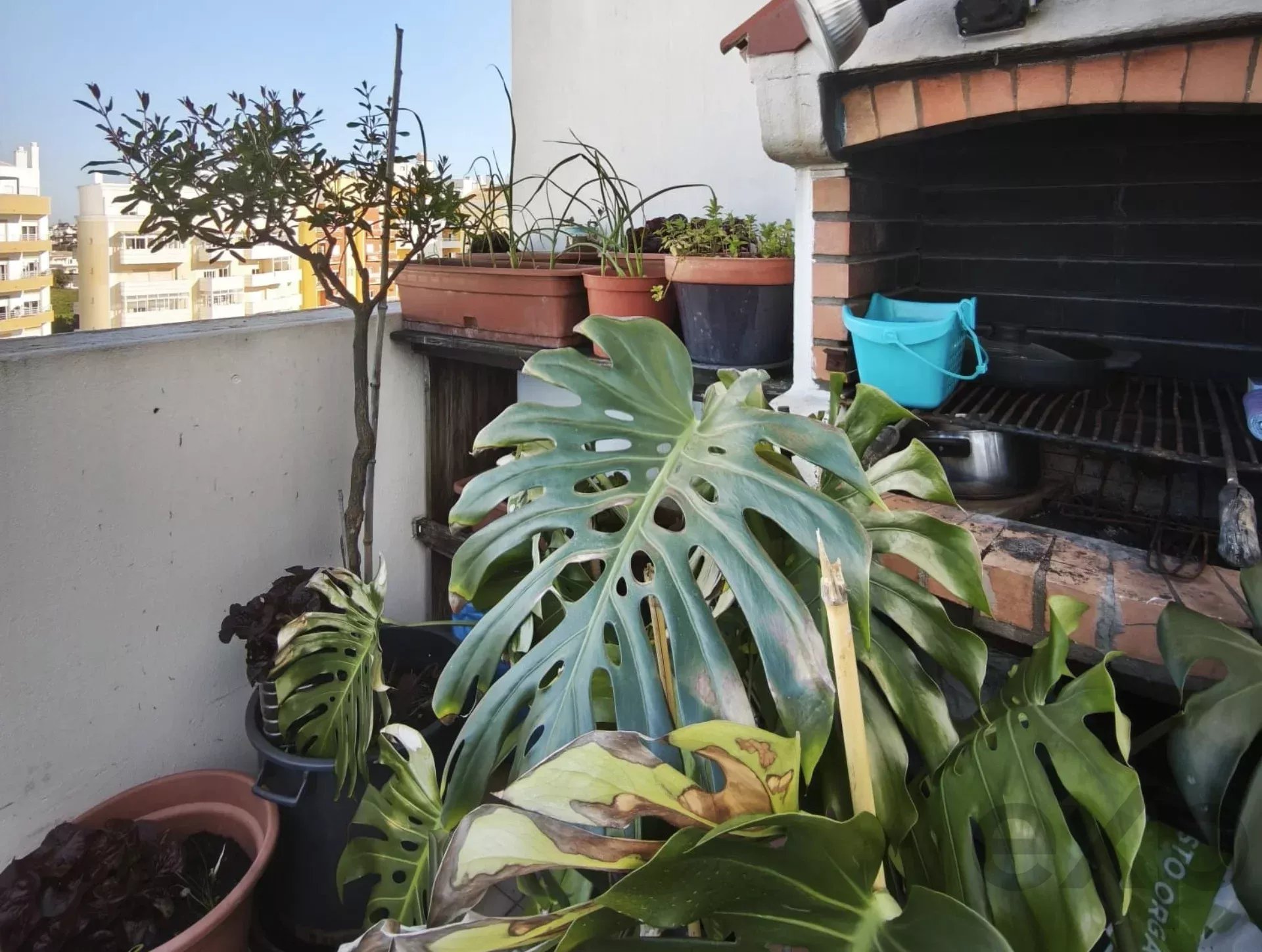 Converted 2‑bedroom apartment, Bemposta, Alvor 86815443 image 24