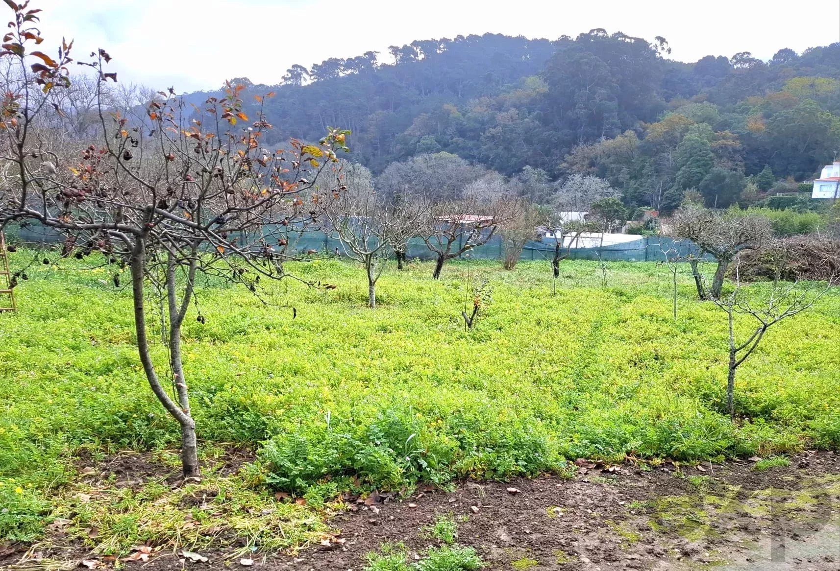 Moradia à venda em Colares, 107 m²