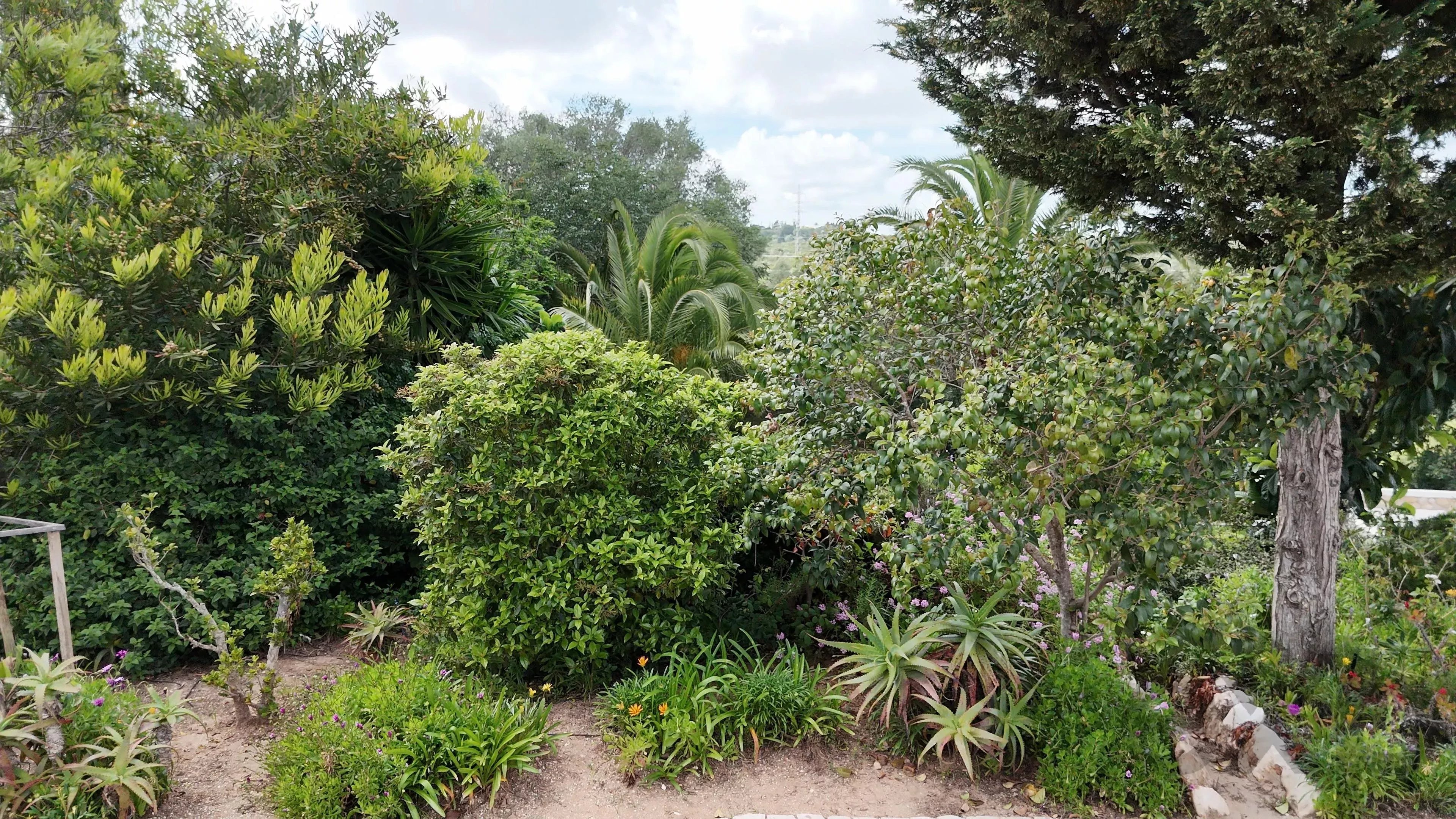 T4 House, Your Algarve Retreat 86841709 image 21