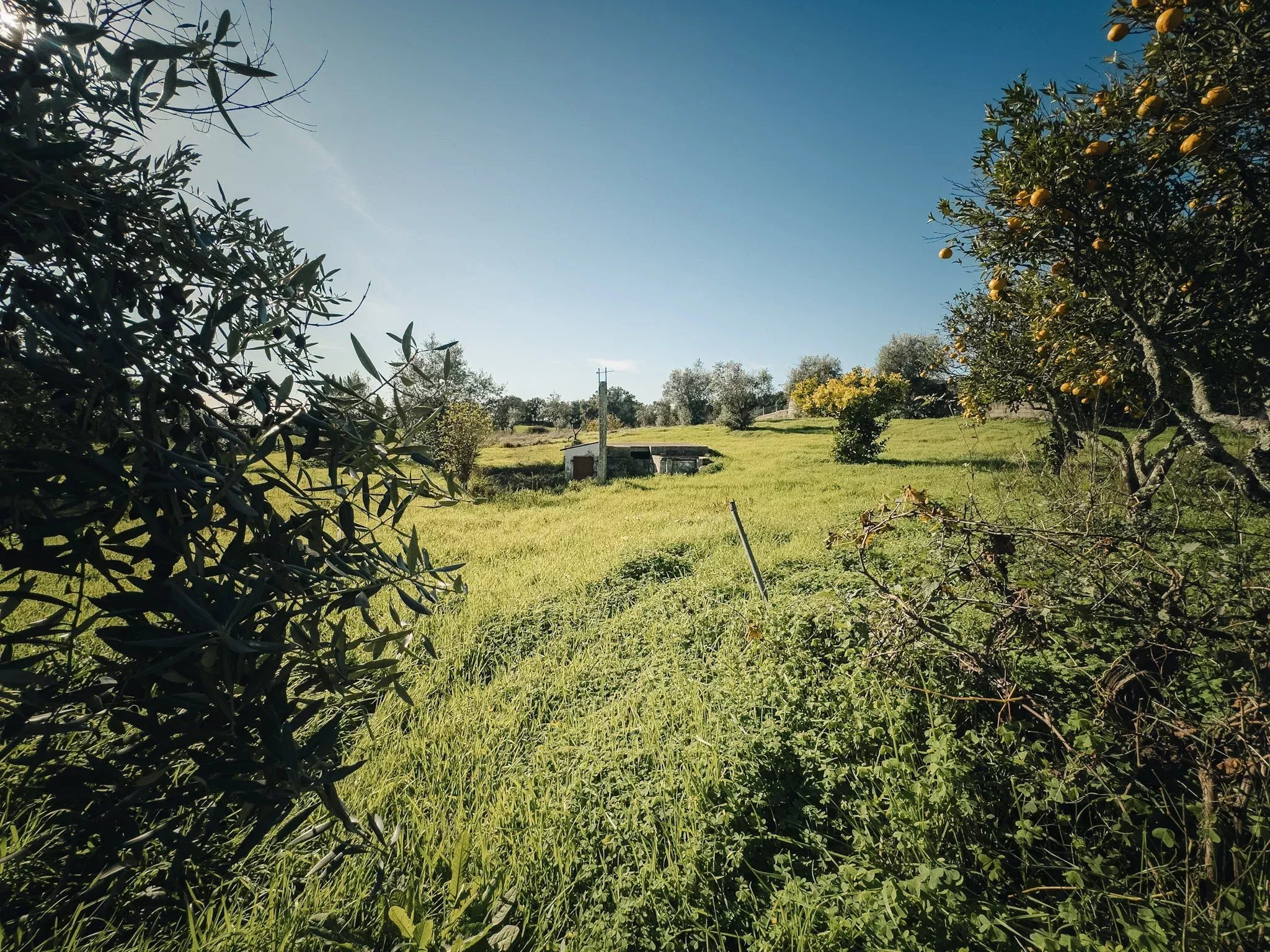Casa de campo de 3 suítes totalmente renovada em 4.250 m² | Vale do Peso, Portalegre 86847344 image 27