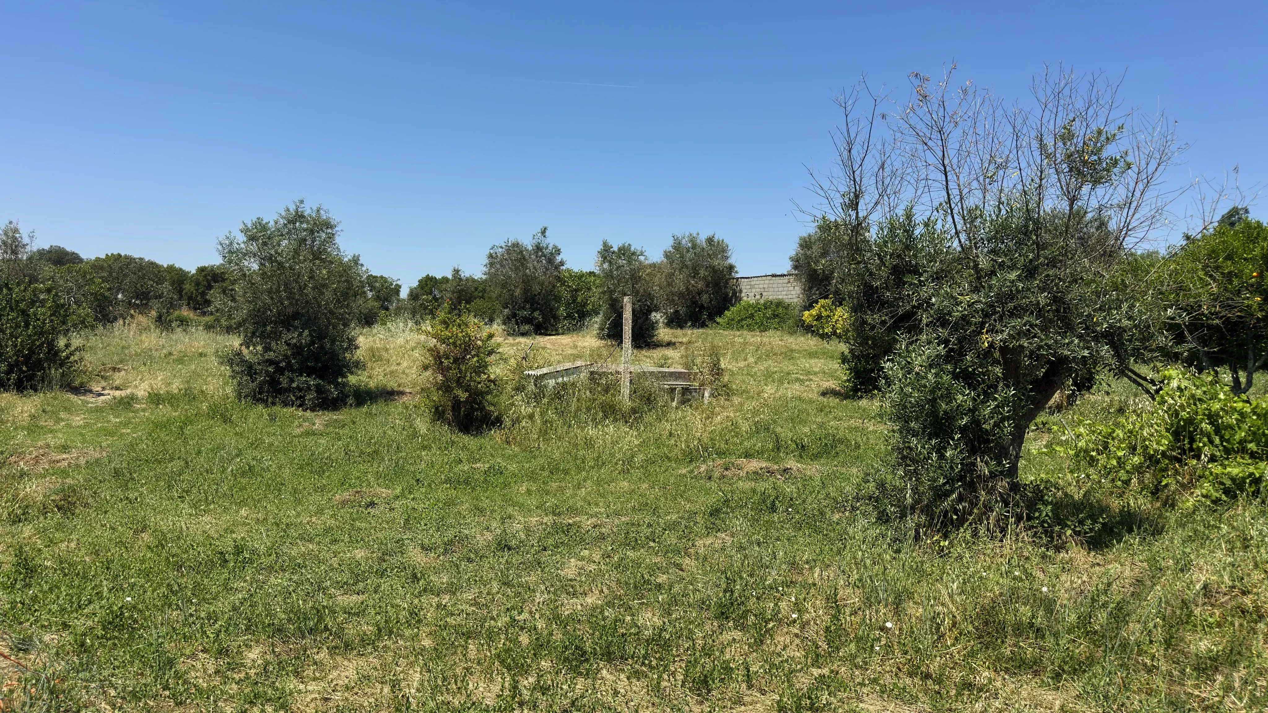 Casa de campo de 3 suítes totalmente renovada em 4.250 m² | Vale do Peso, Portalegre 86847344 image 26