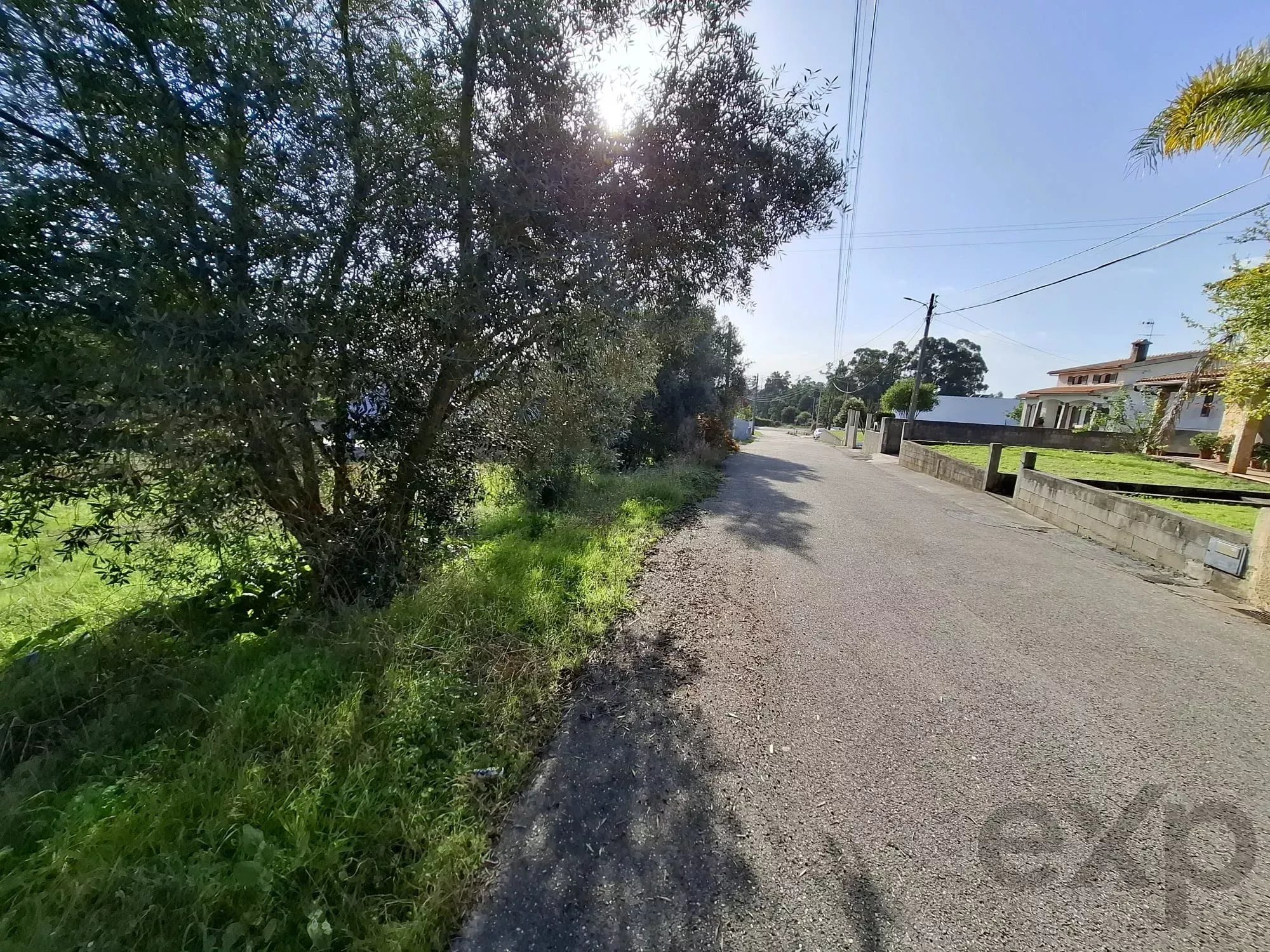 Terreno à venda em Sangalhos, 1600 m²