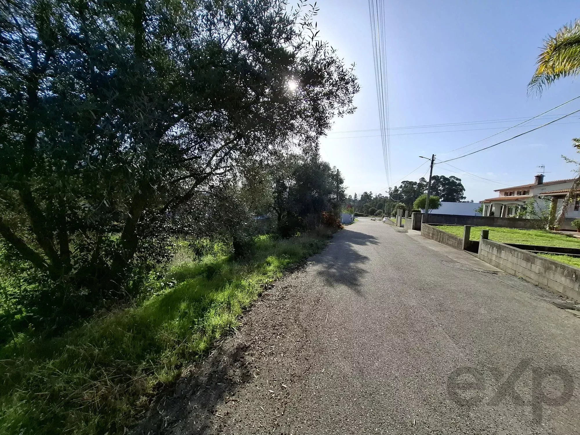 Terreno à venda em Sangalhos, 1600 m²