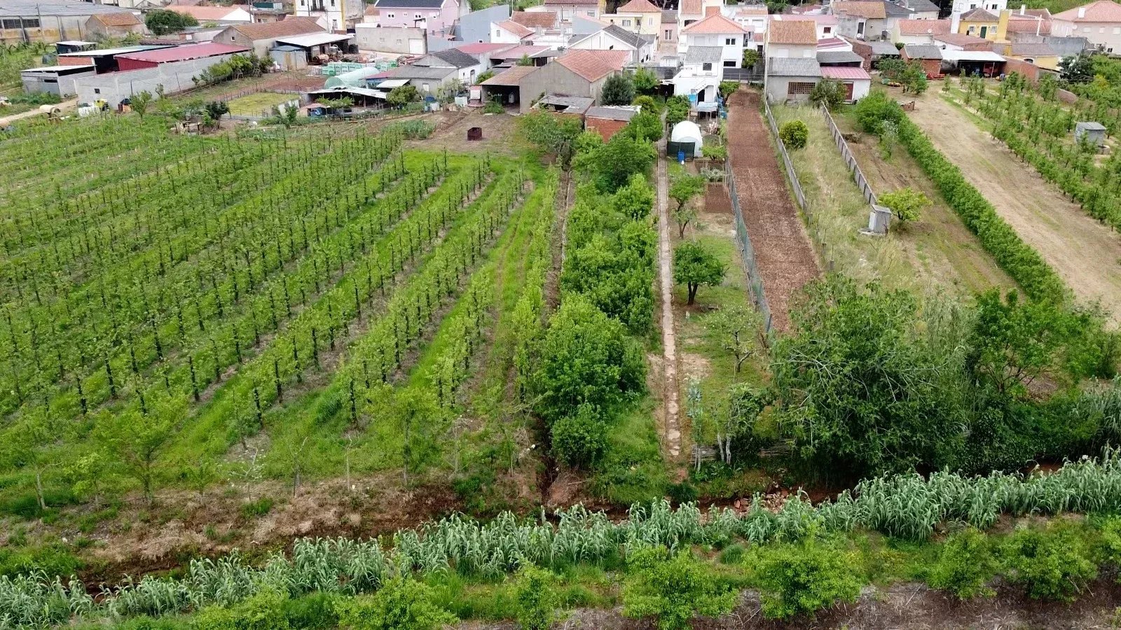 Excellent Property Ready for Immediate Occupancy 86904672 image 33