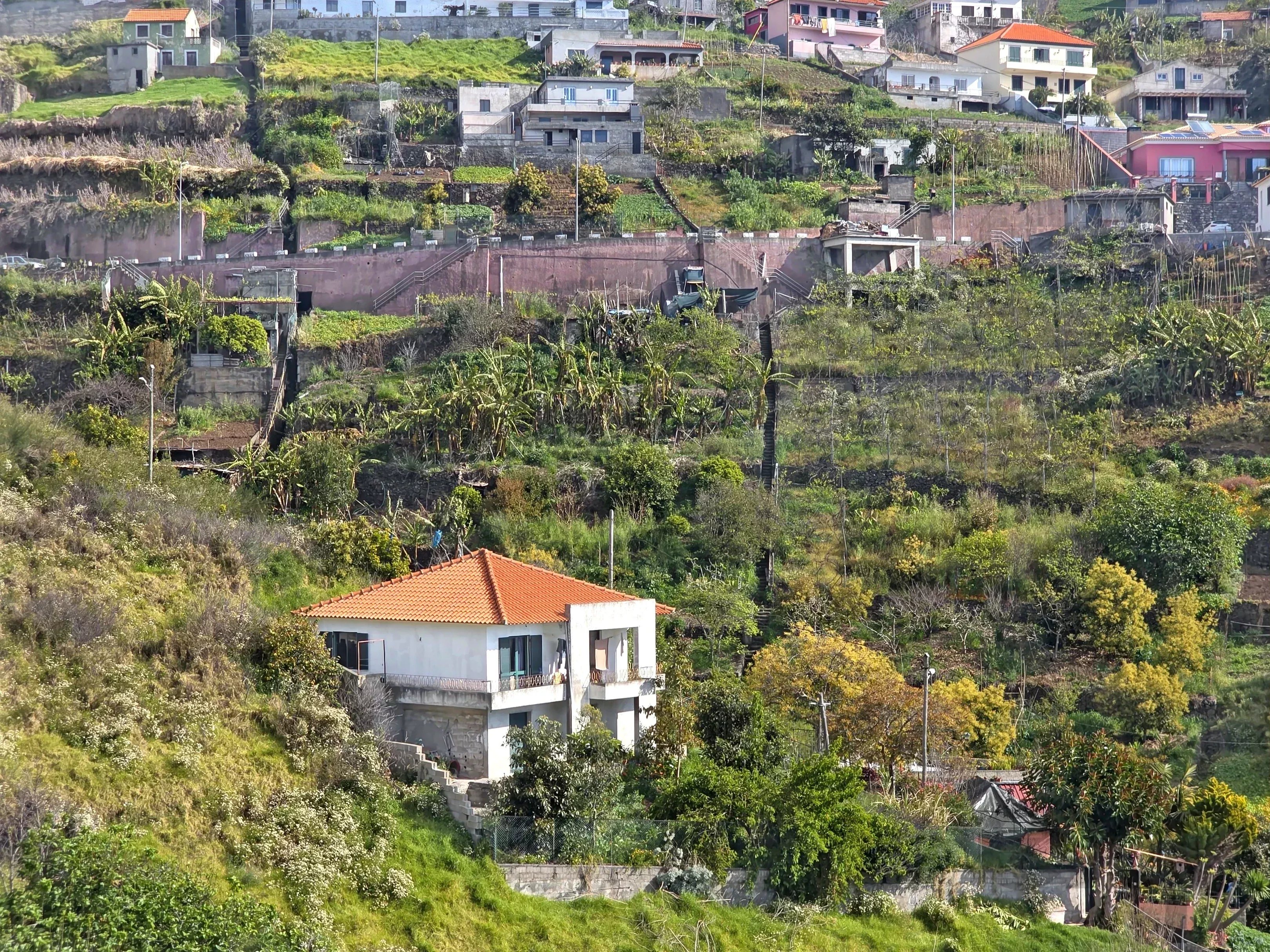 Terreno com Vista Mar - Estreito de Câmara de Lobos