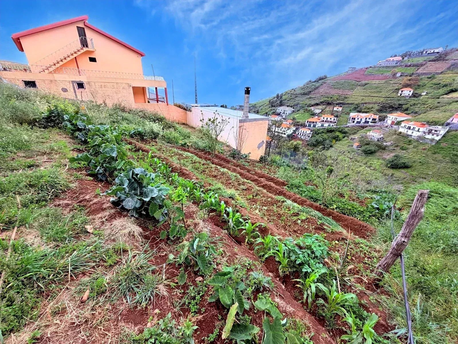 Terreno à venda em Estreito de Câmara de Lobos, 453 m²